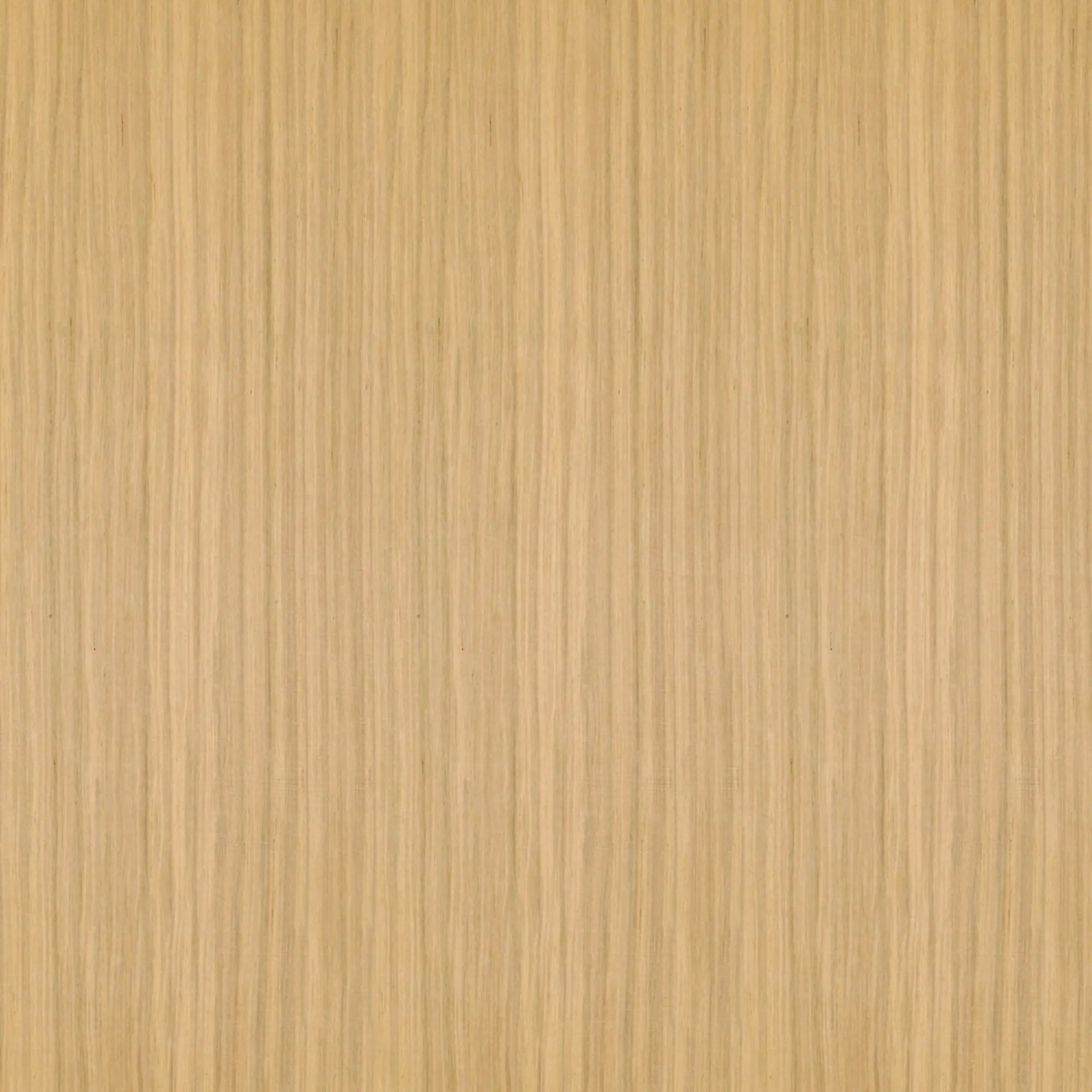 Neuhofer Akustikpaneele Hexago Eiche furniert 30 x 26 x 1,9 cm 