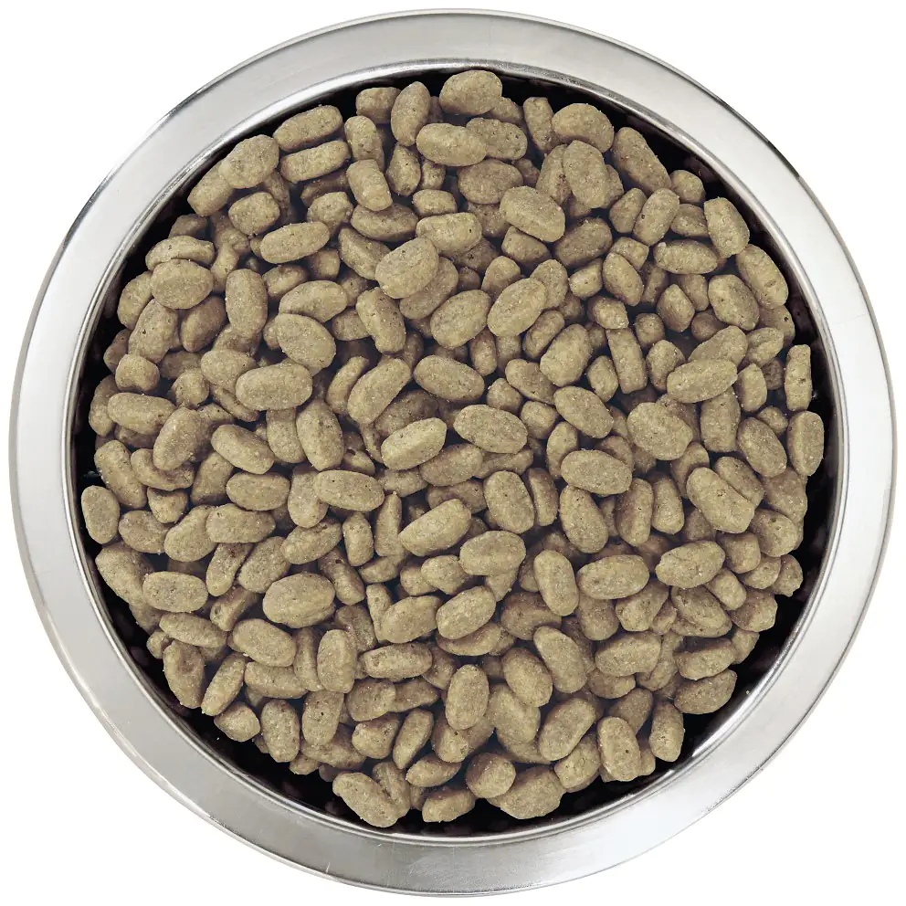 Purina Pro Hundetrockenfutter Junior Medium 3 kg Lachs & Reis