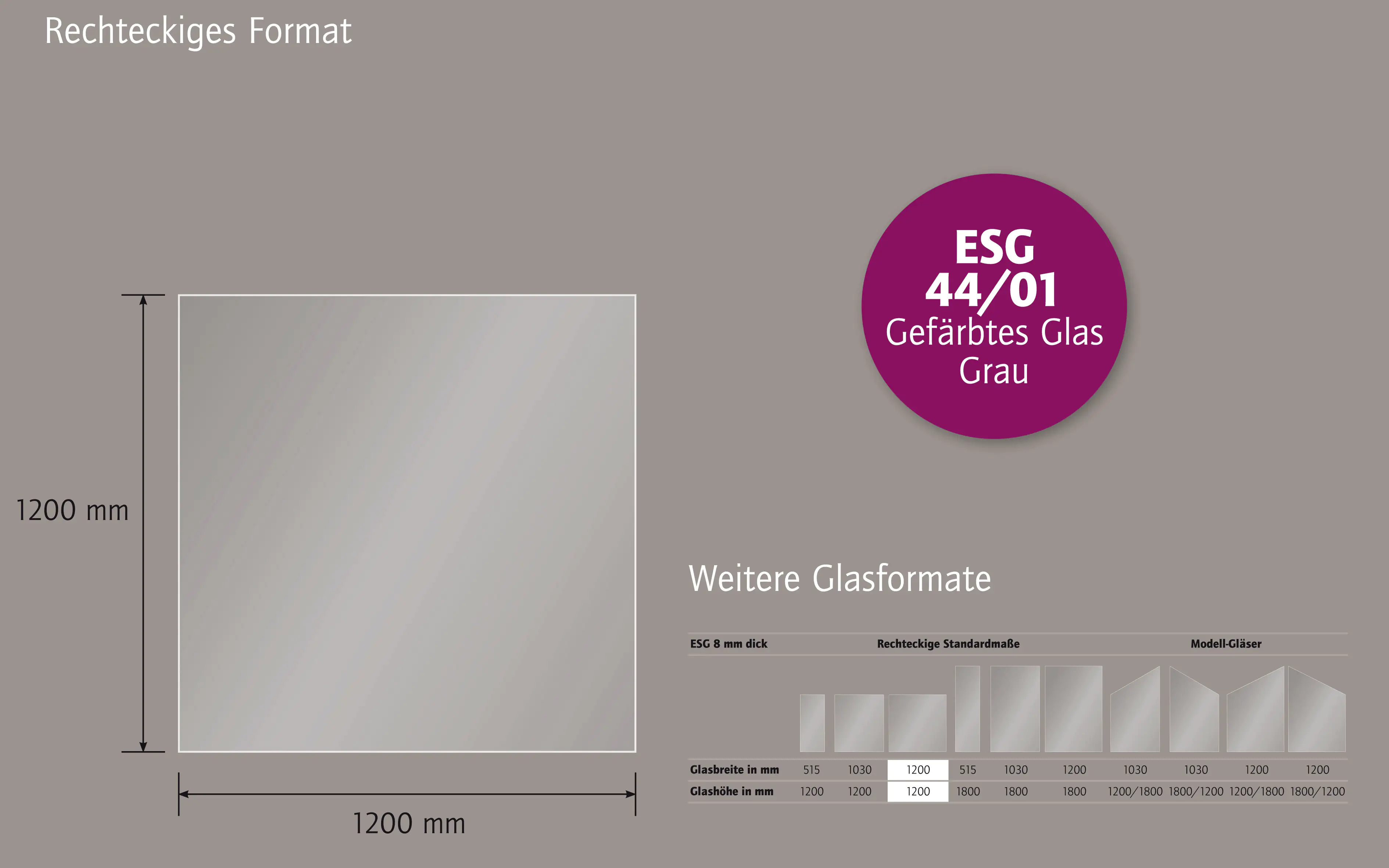 Ambiente Glaszaun B x H: 120 cm x 120 cm, gehärtetes 8 mm Glas