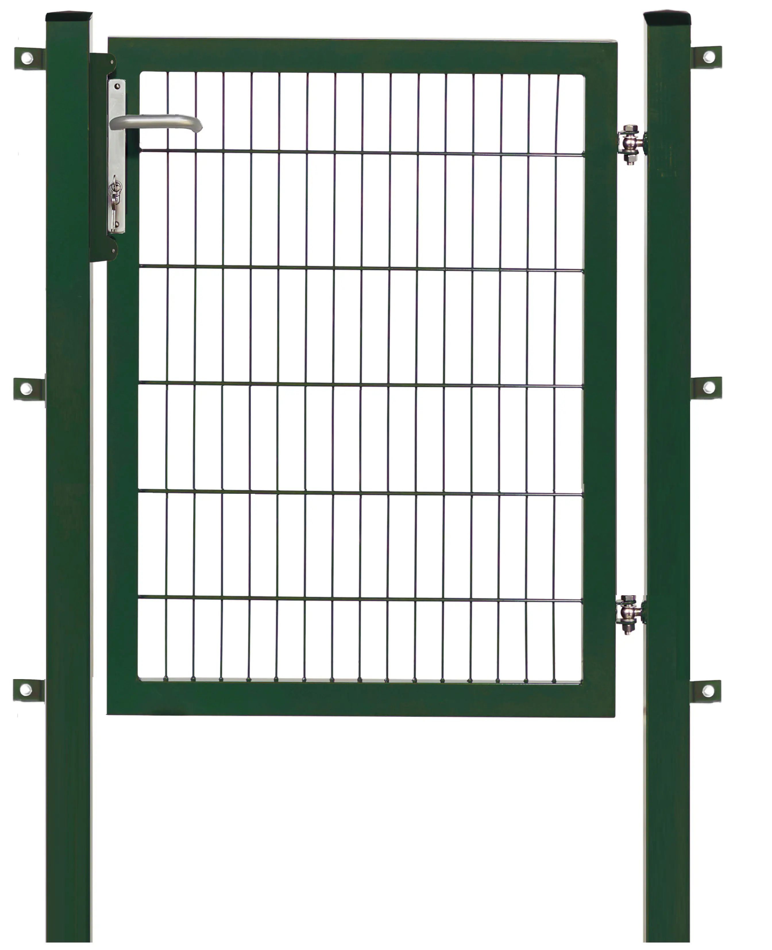 Floraworld Gartentor Premium 100 x 120 cm moosgrün