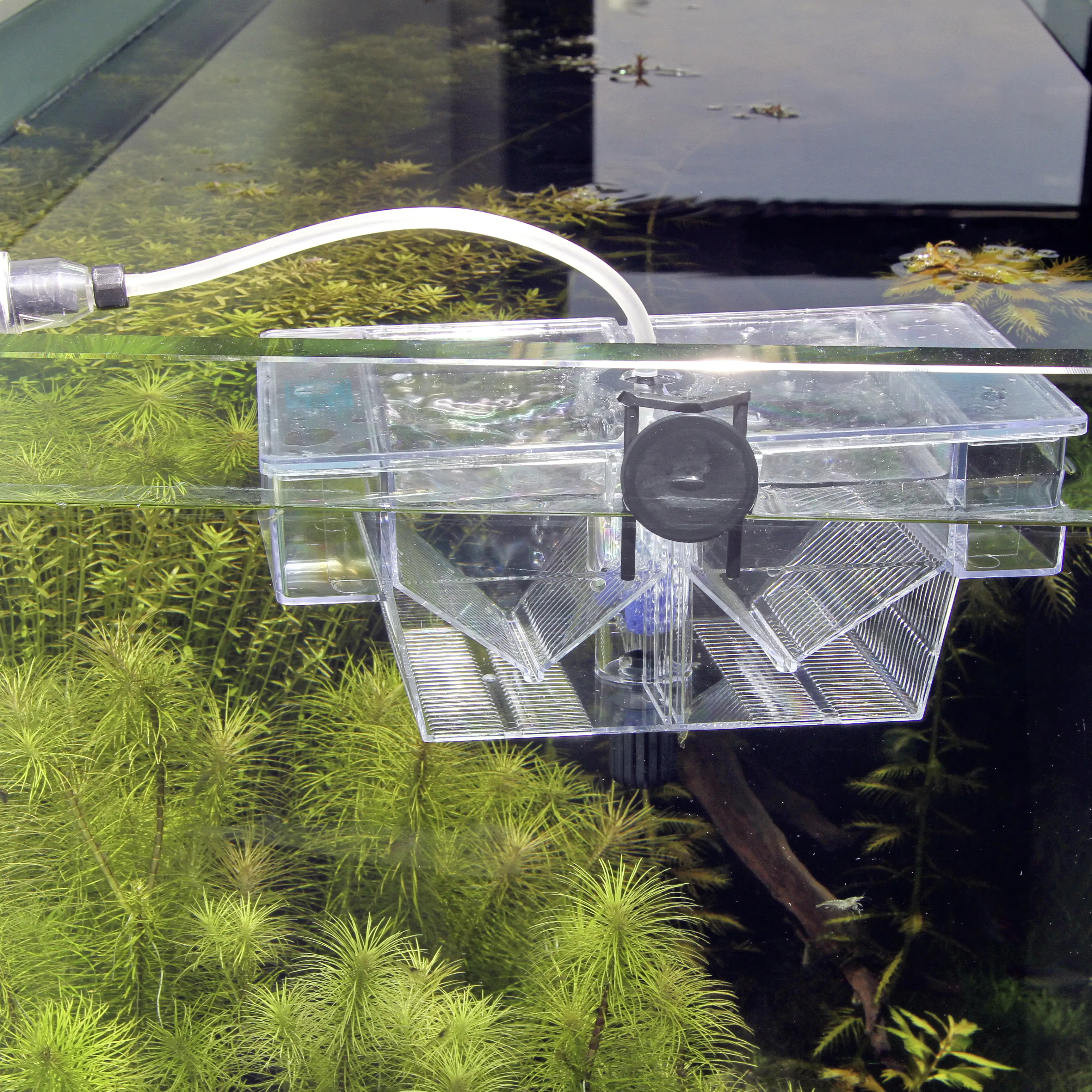JBL Aquarienzubehör Aufzuchtbecken BabyHome Oxygen transparent