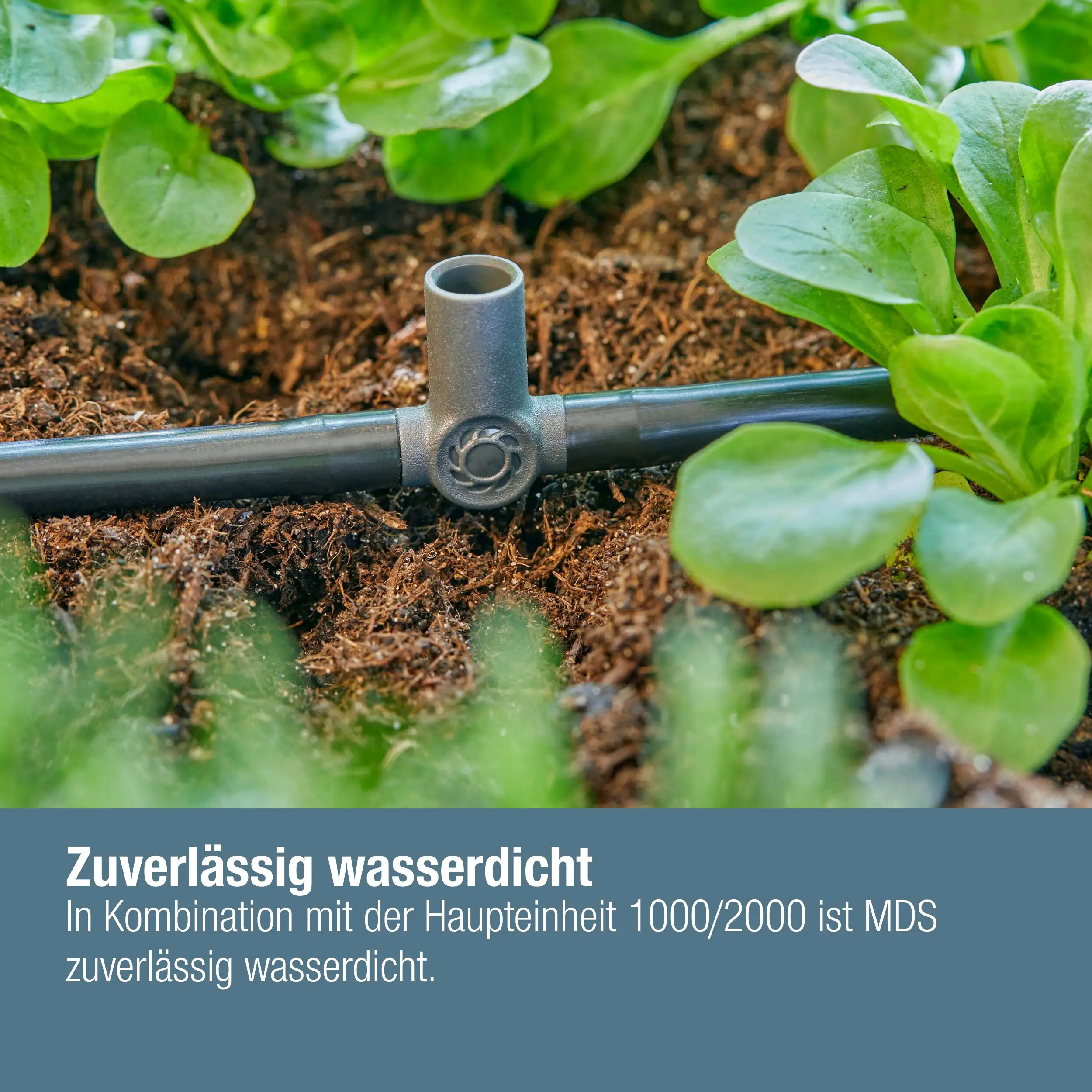 Gardena T-Stück für Sprühdüsen/Endtropfer 4,6 mm (3/16")