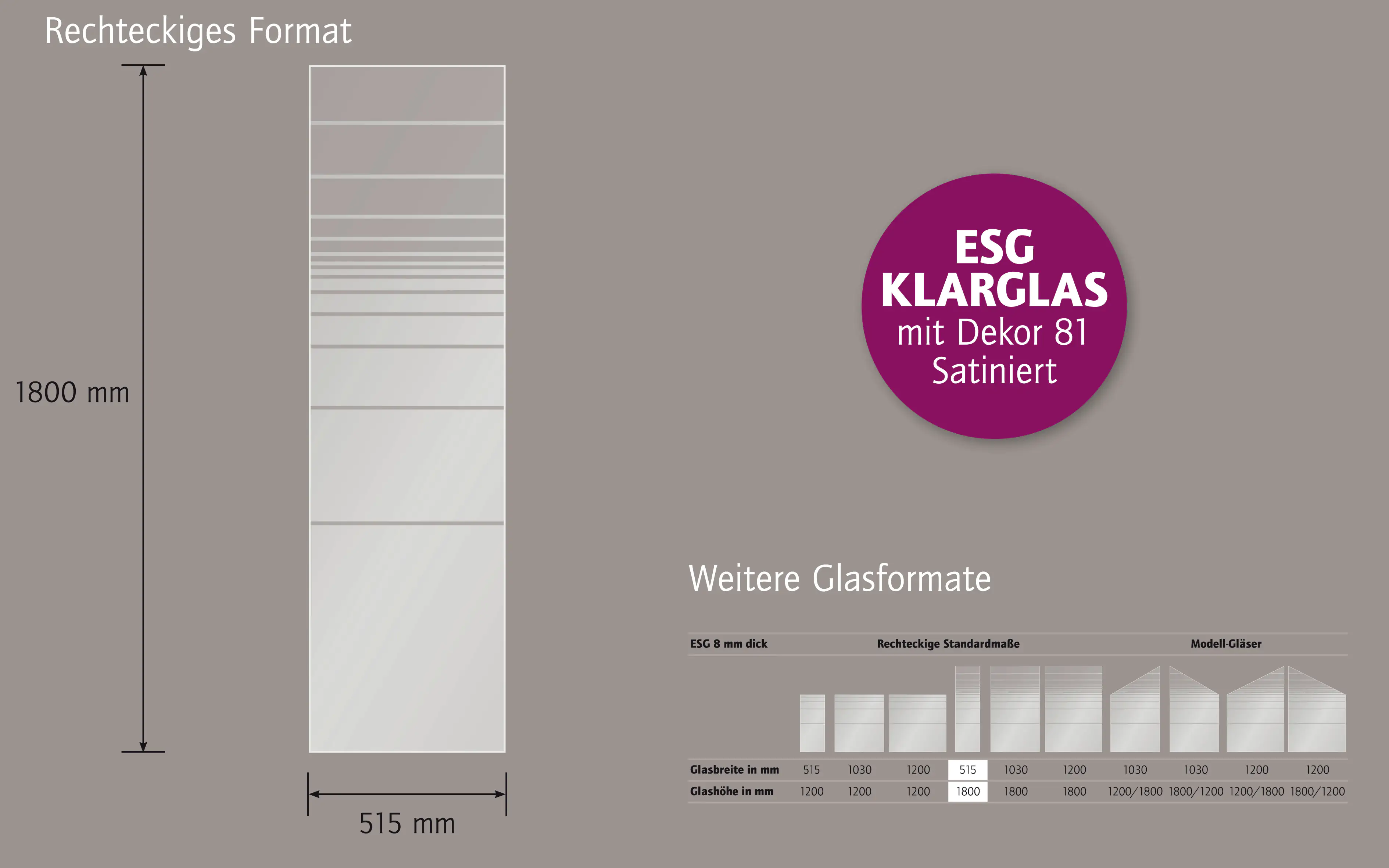 Ambiente Glaszaun Dekor 81 51,5 x 180 cm gehärtetes 8 mm Glas