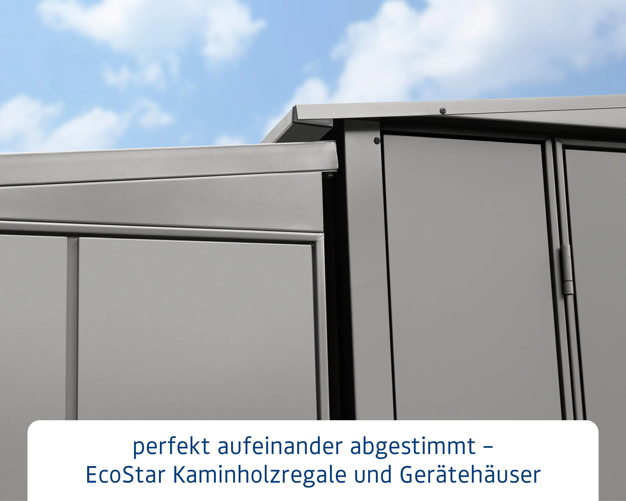 Ecostar Kaminholzregal Elegant-V Typ 1, graualuminium, mit Verstrebung