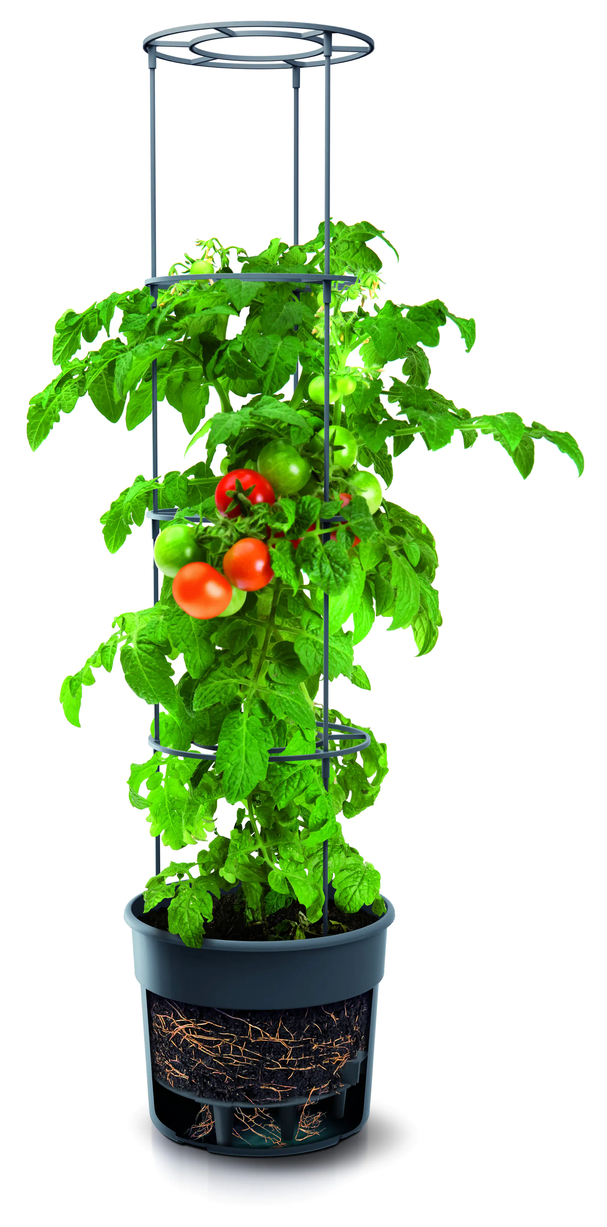 Prosperplast Tomatentopf Kunststoff anthrazit