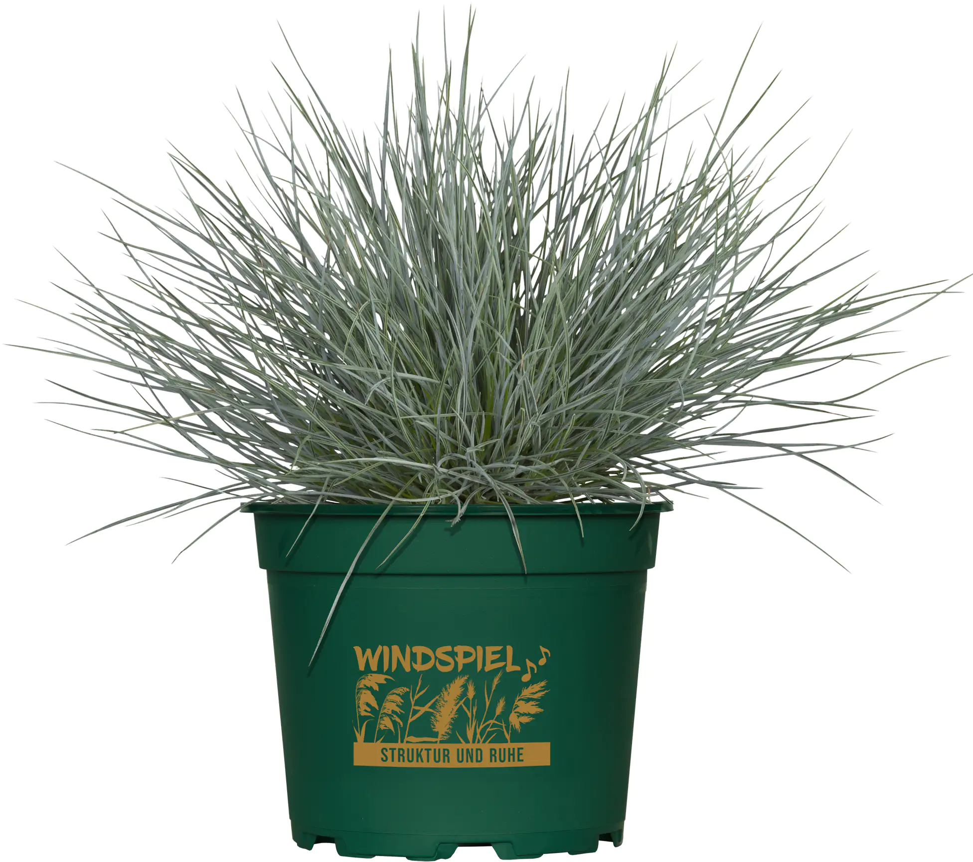 Gräsermix Windspiel 17 cm Topf