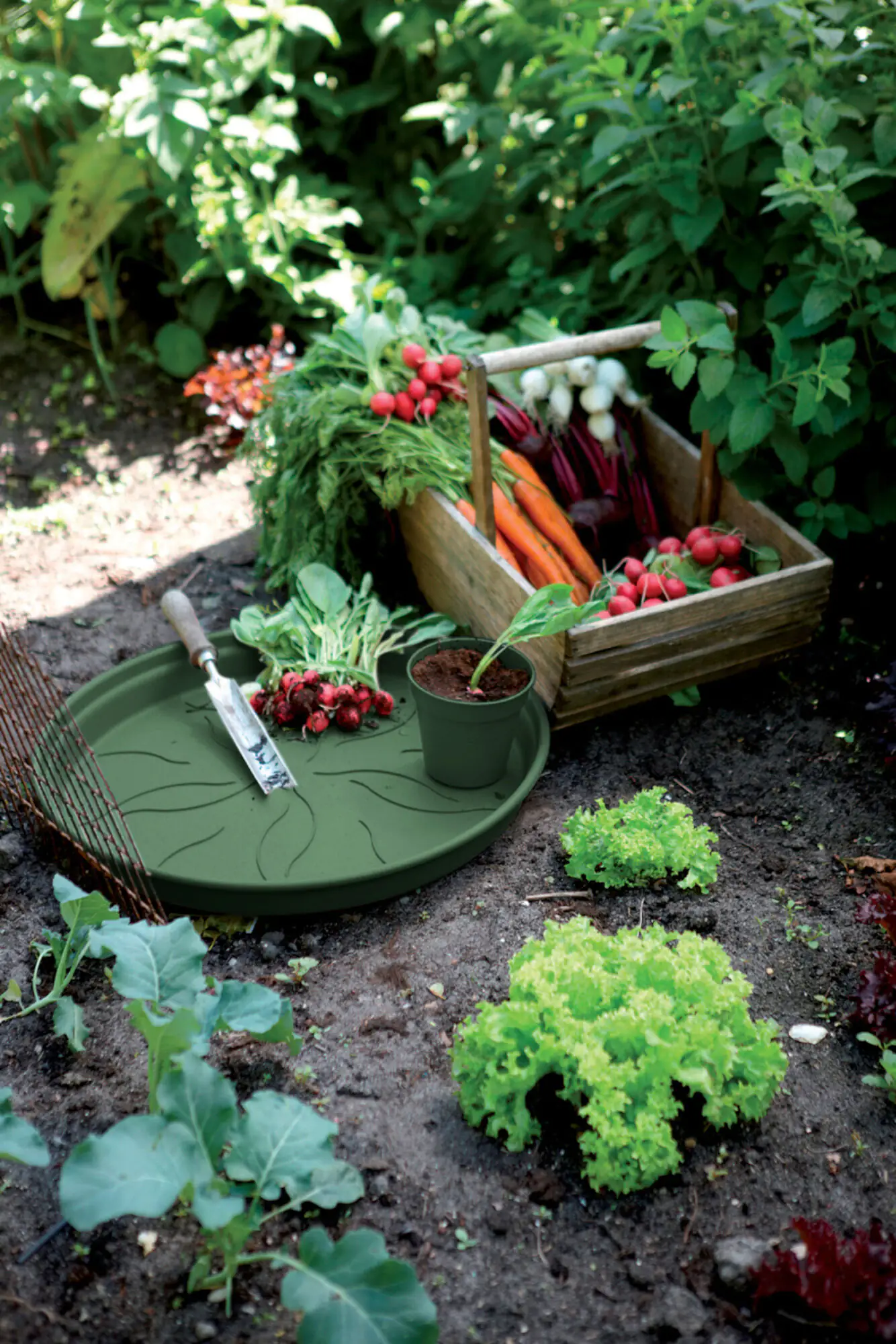 Elho Untersetzer Green Basic laubgrün Ø 14 cm