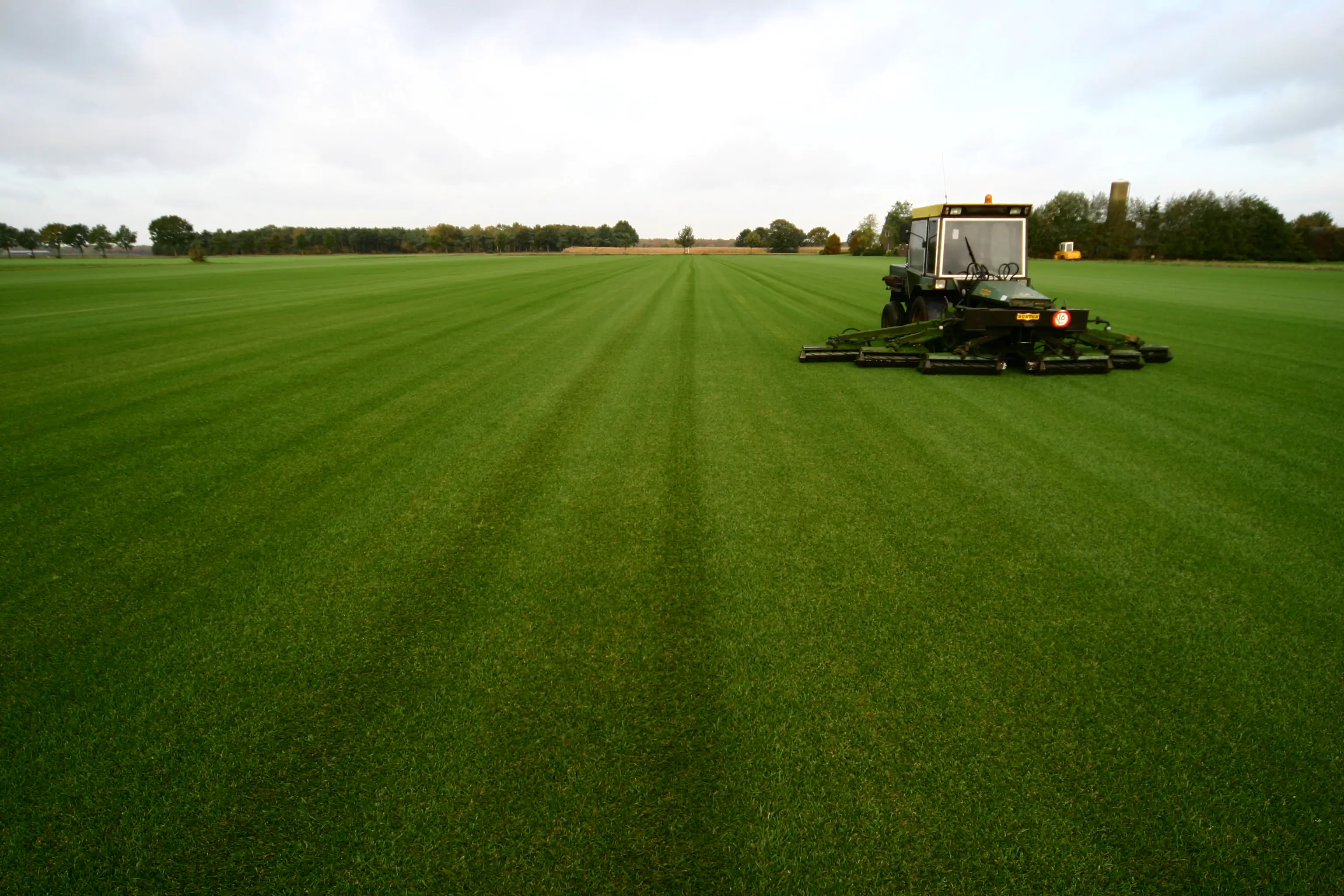 Premoplan Rollrasen Premium ab 30 m²