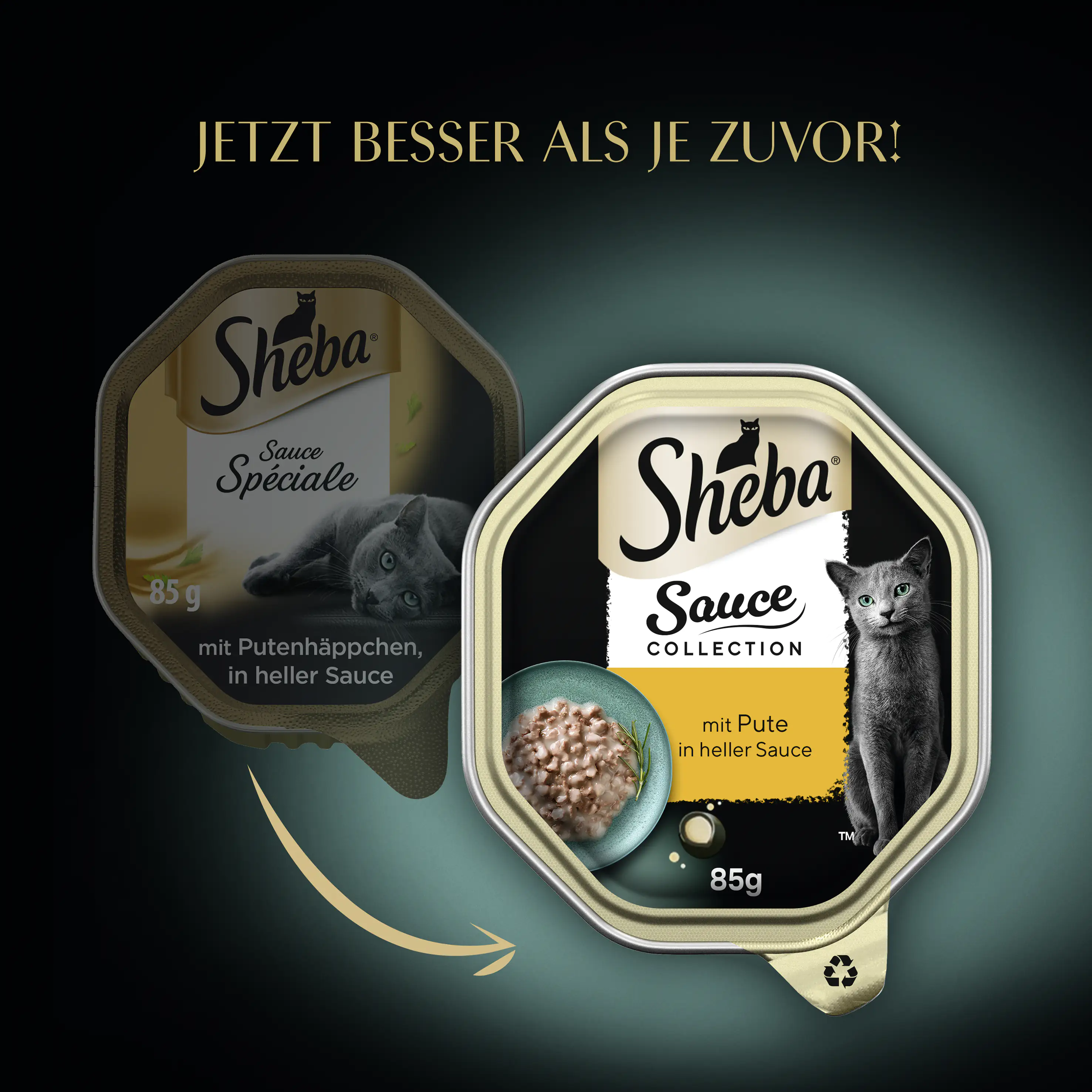 Sheba Sauce Collection Katzennassfutter Adult 85 g Pute in heller Sauce