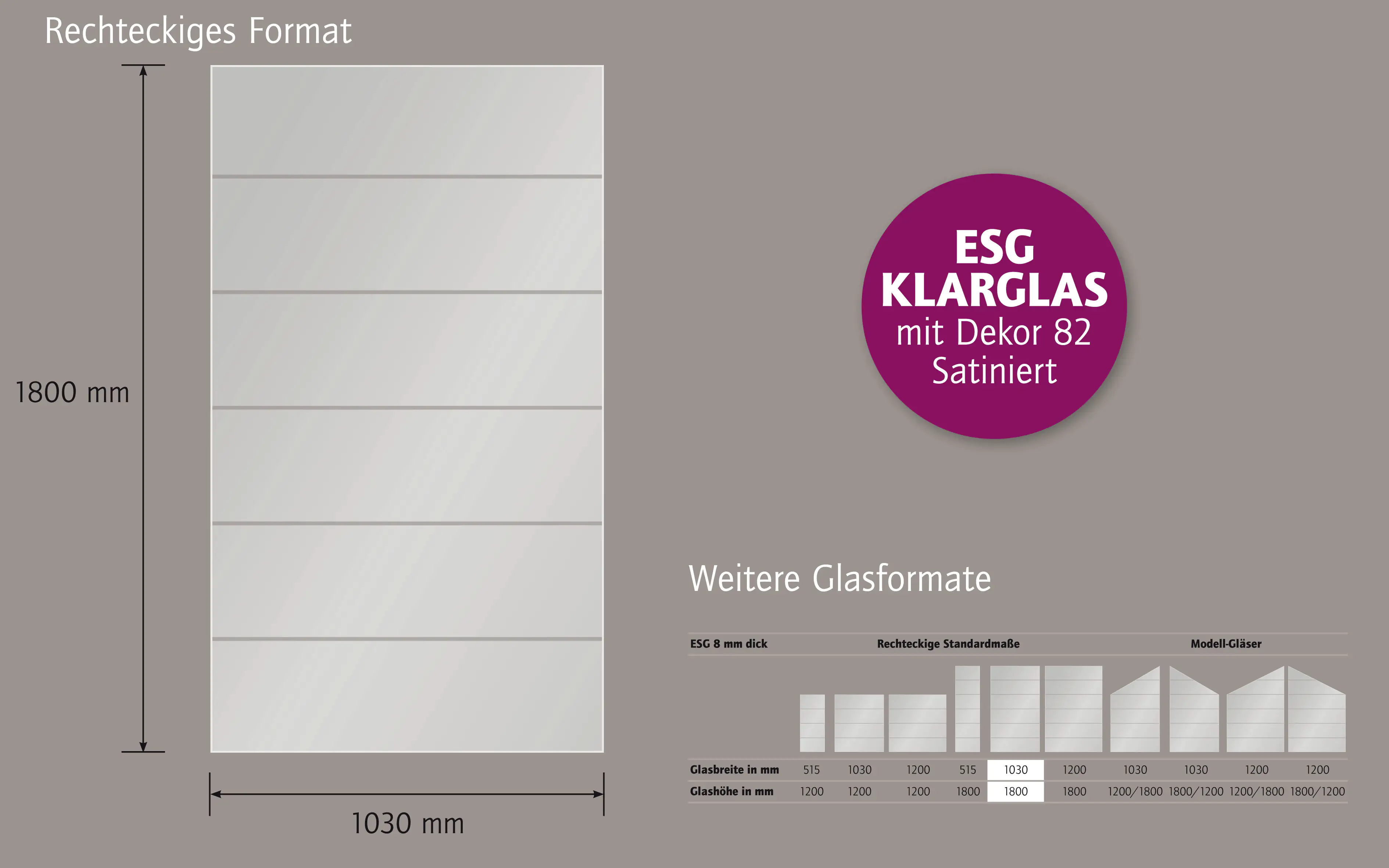 Ambiente Glaszaun Dekor 82 103 x 180 cm gehärtetes 8 mm Glas