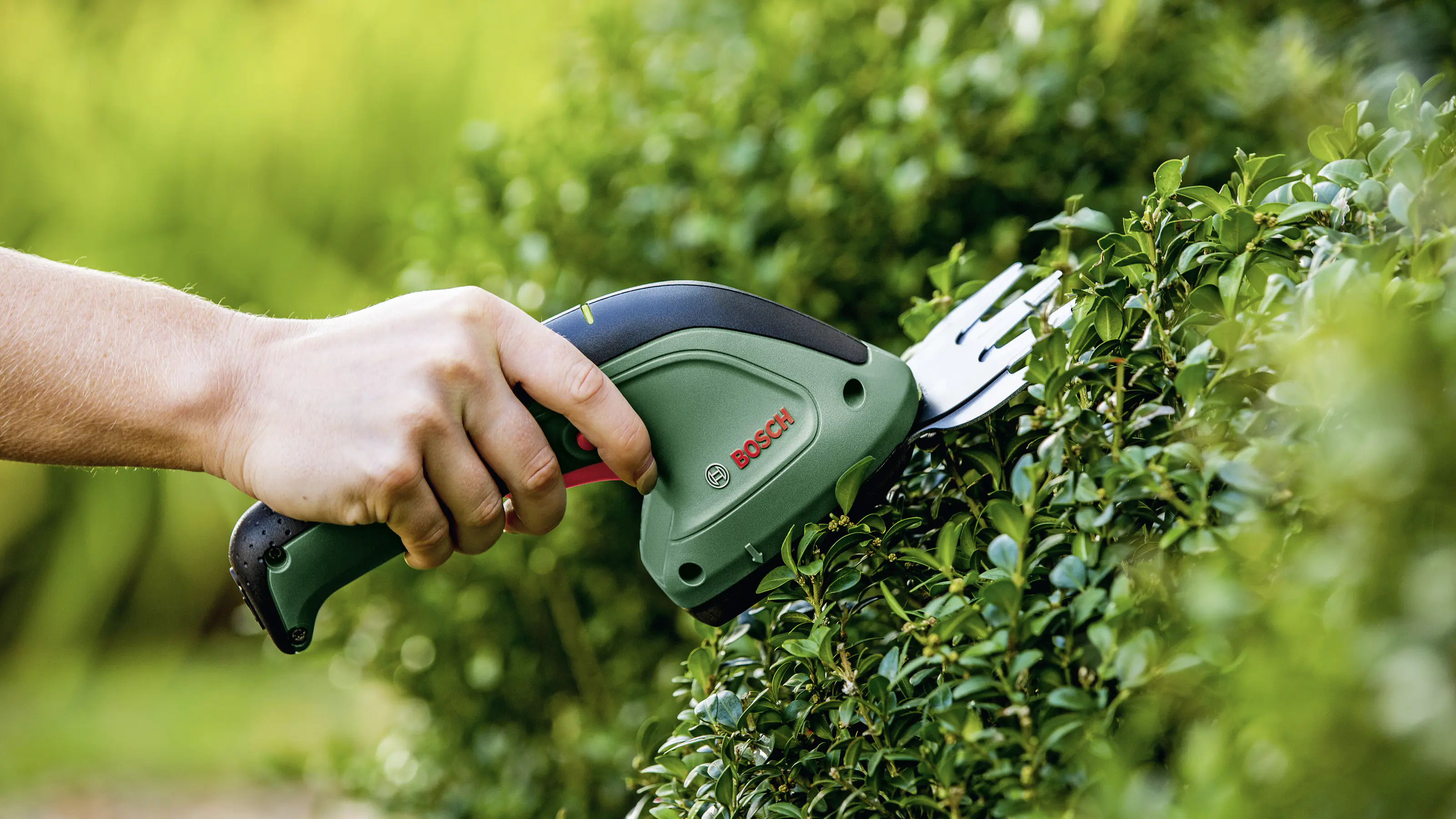 Bosch Akku- Gras-und- Strauchschere EasyShear 3,6 V