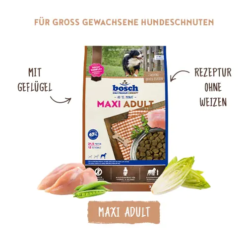 Bosch Hundetrockenfutter Adult Maxi 15 kg Geflügel 