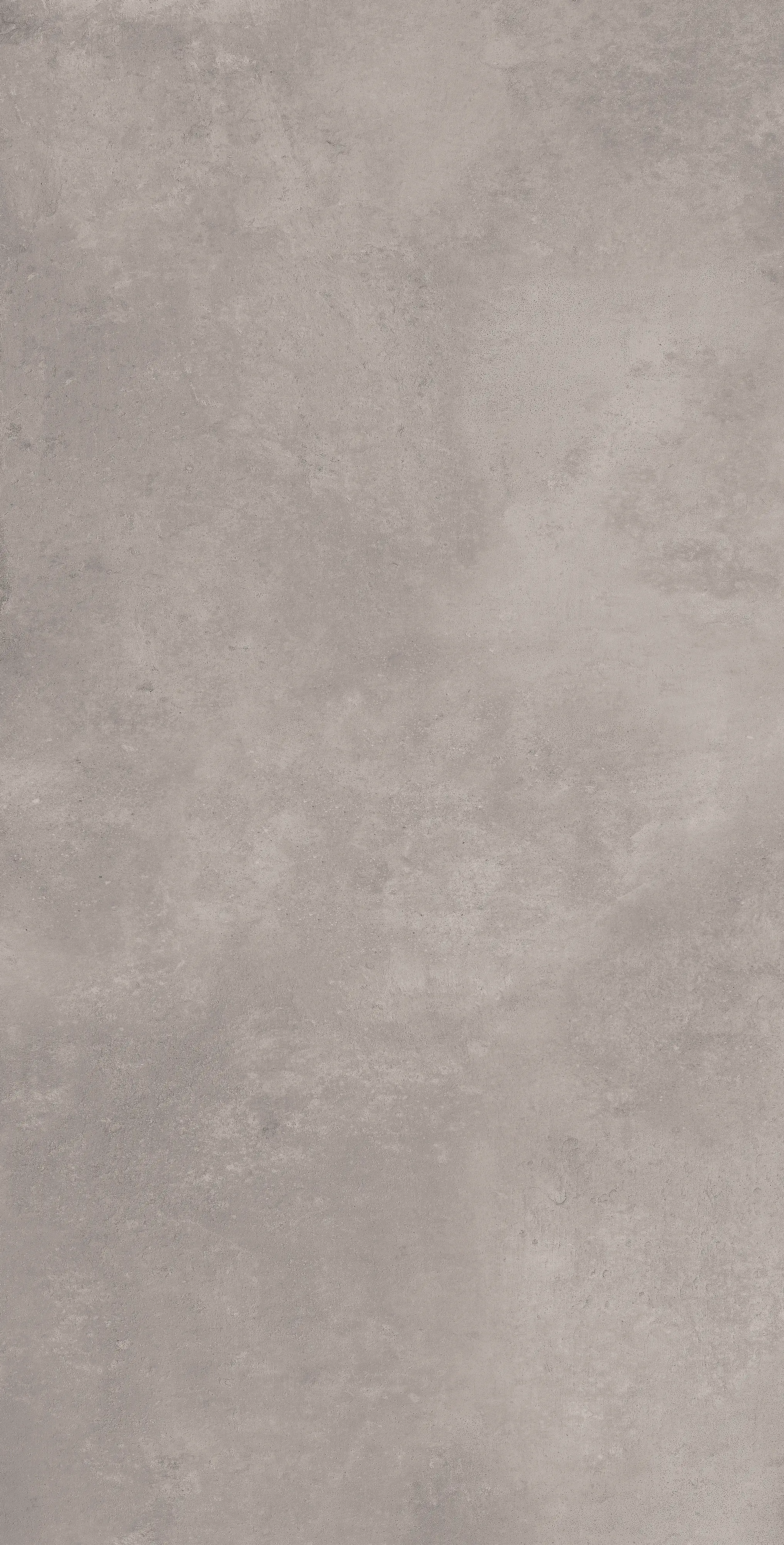 Bodenfliese Feinsteinzeug Vision Taupe 60 x 120 cm taupe