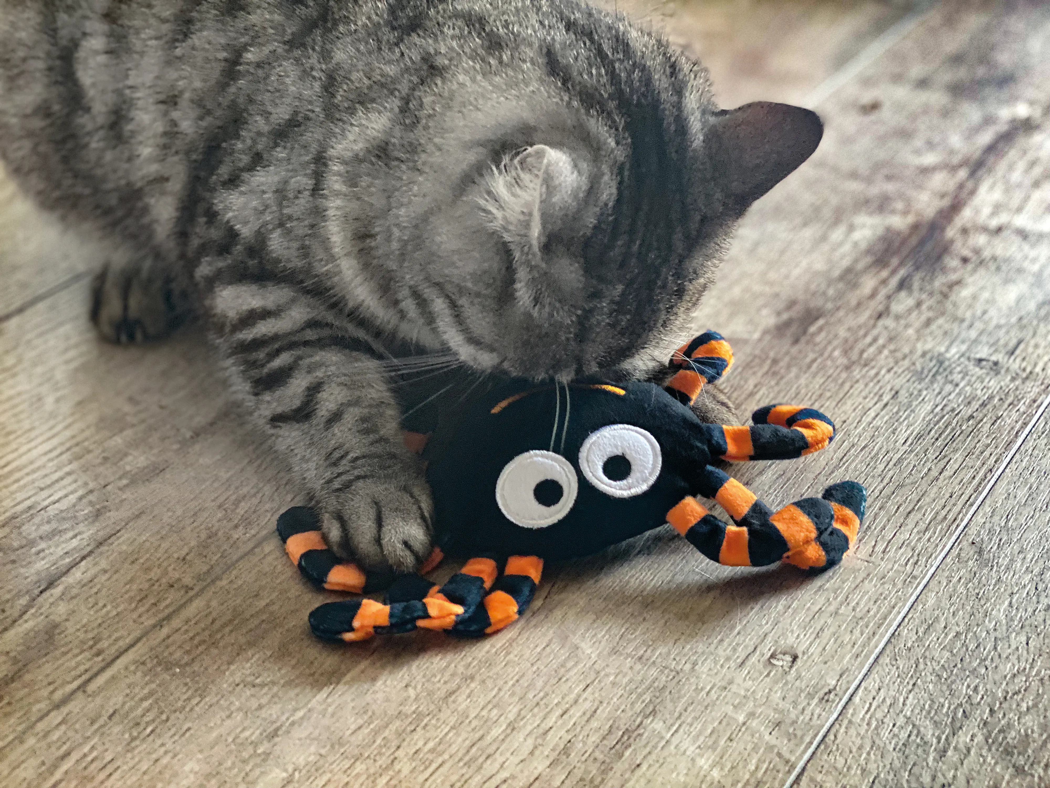 Aumüller Katzenspielzeug Spinne Thekla 18 cm schwarz orange
