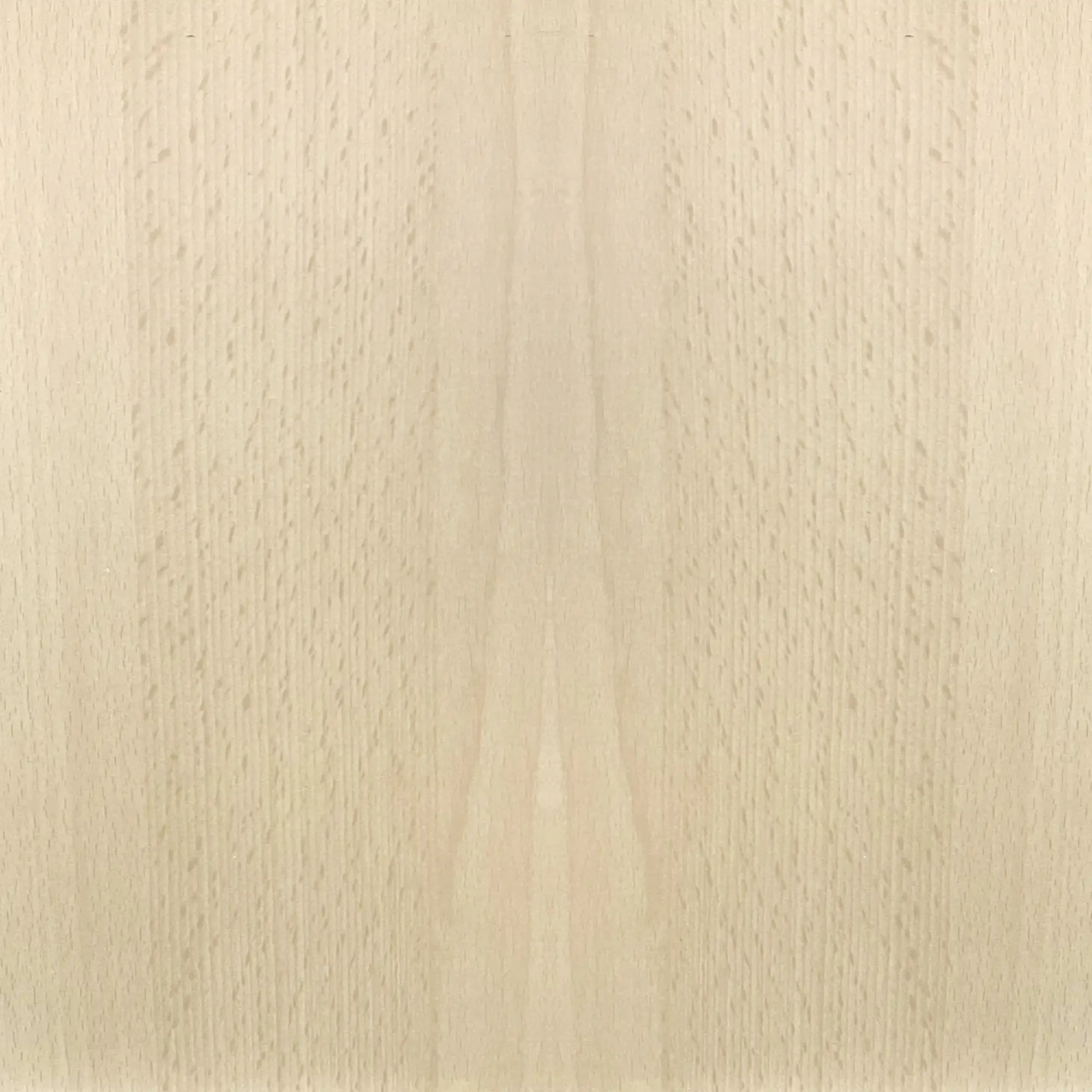 FN Neuhofer Flachleiste 210 cm 27 x 20 mm Buche