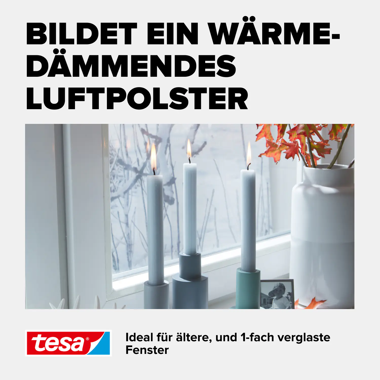 tesa Moll Fenster-Isolierfolie Thermo Cover 1,7 x 1,5 m