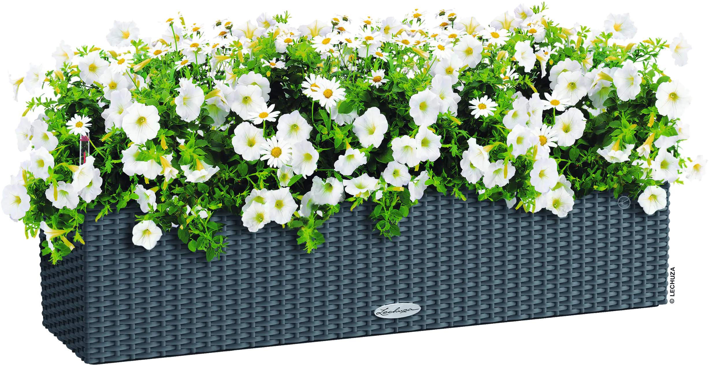 Lechuza Balkonkasten BALCONERA Cottage 80 cm, granit