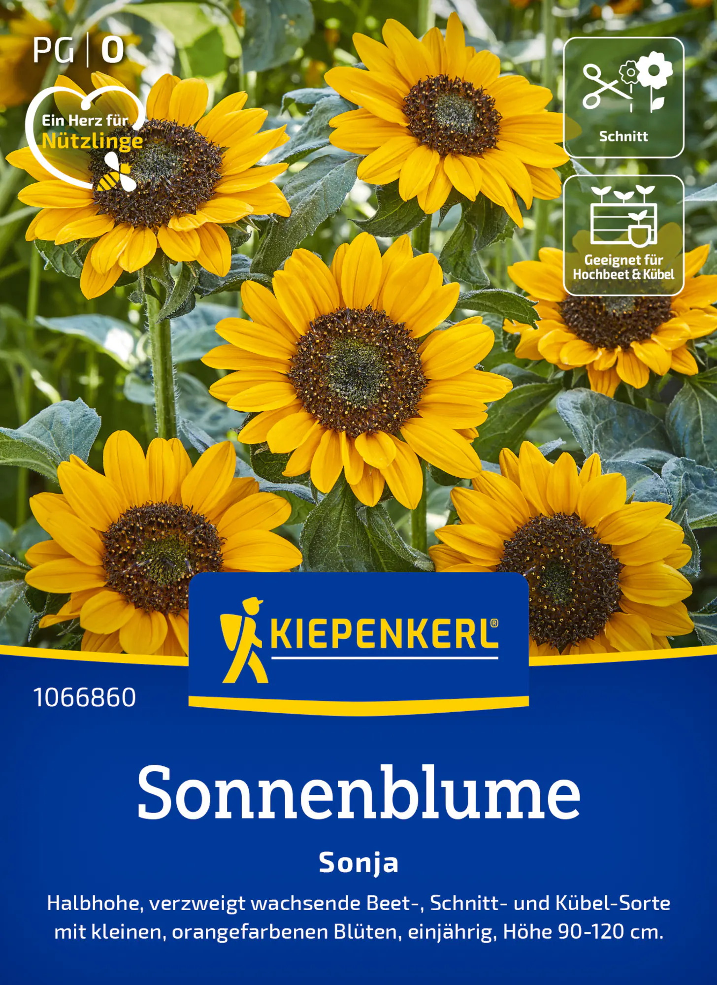 Kiepenkerl Saatgut Sonnenblume Sonja für ca. 25 Pflanzen
