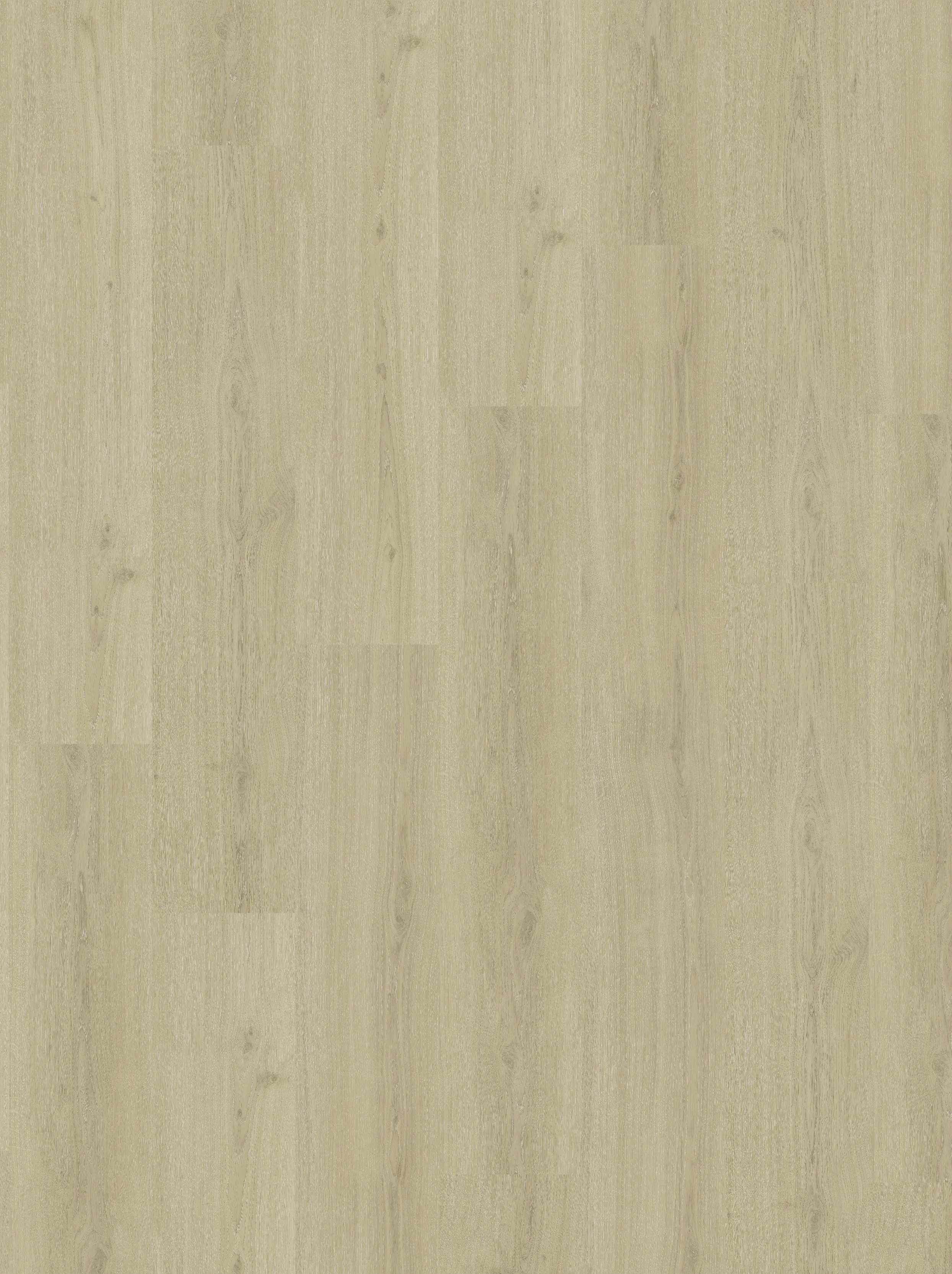 Parador Vinylboden mit Trittschalldämmung Basic 30 Eiche regent beige