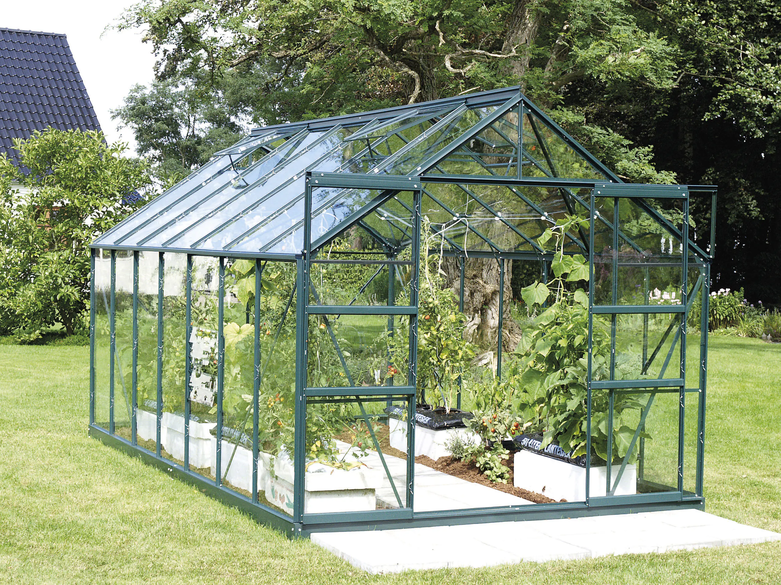 Vitavia Gewächshaus-Set Uranus 11500 ESG 3 mm smaragd 254 x 441 cm 