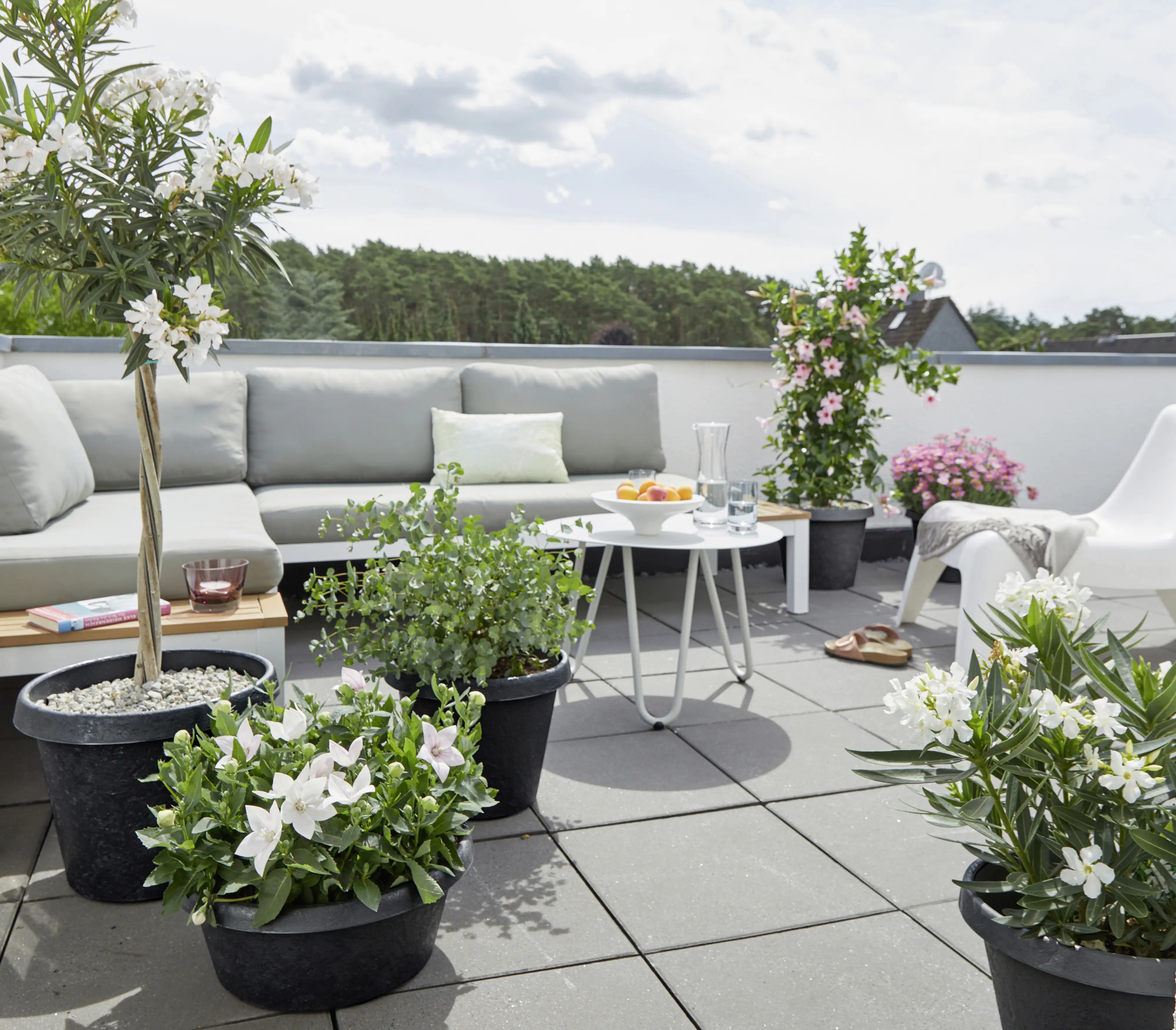 Scheurich Pflanzgefäß Stones Serie 285 anthrazit Ø 40 cm