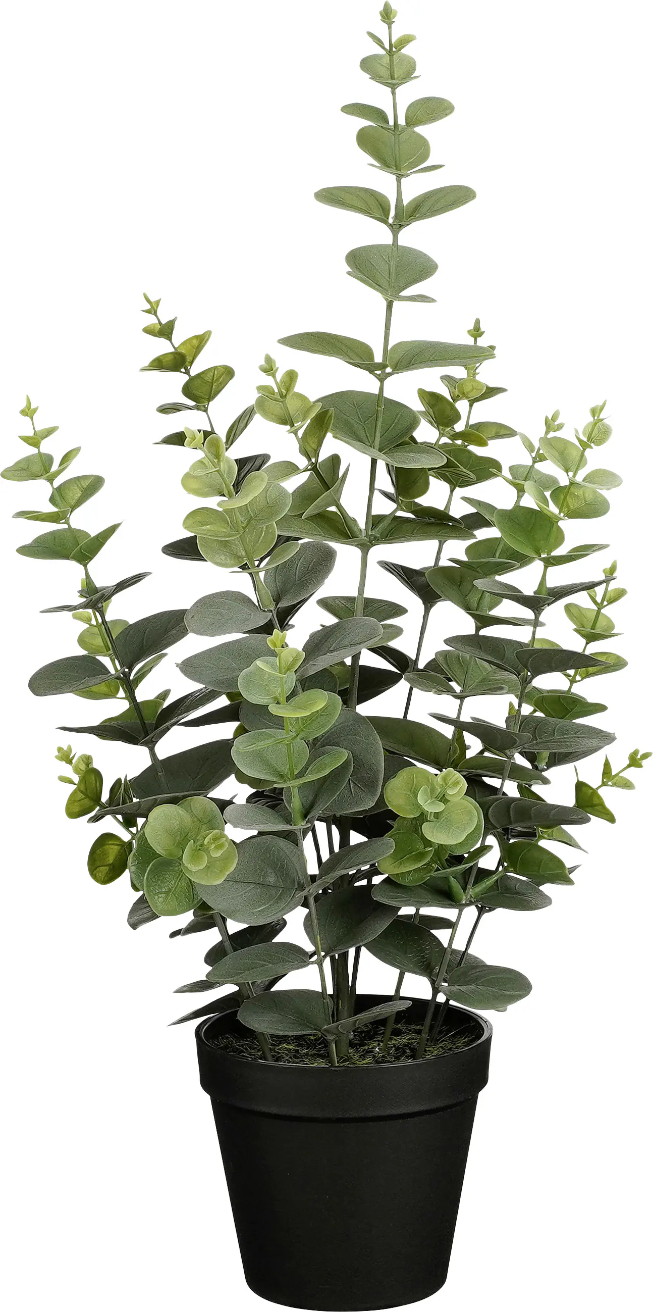 Mica Kunstpflanze Eukalyptus grün im Topf Ø 23 x 53 cm