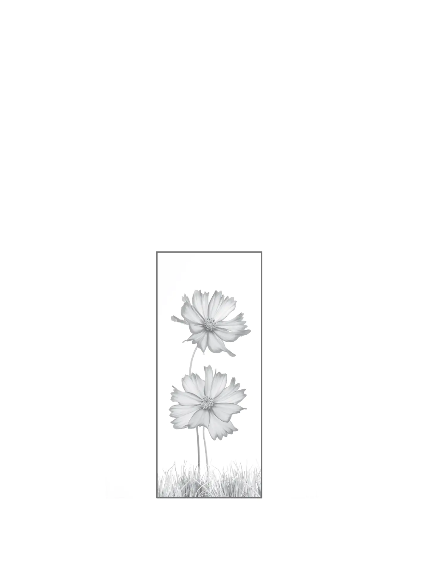 Ambiente Glaszaun Dekor 93 51,5 x 120 cm gehärtetes 8 mm Glas