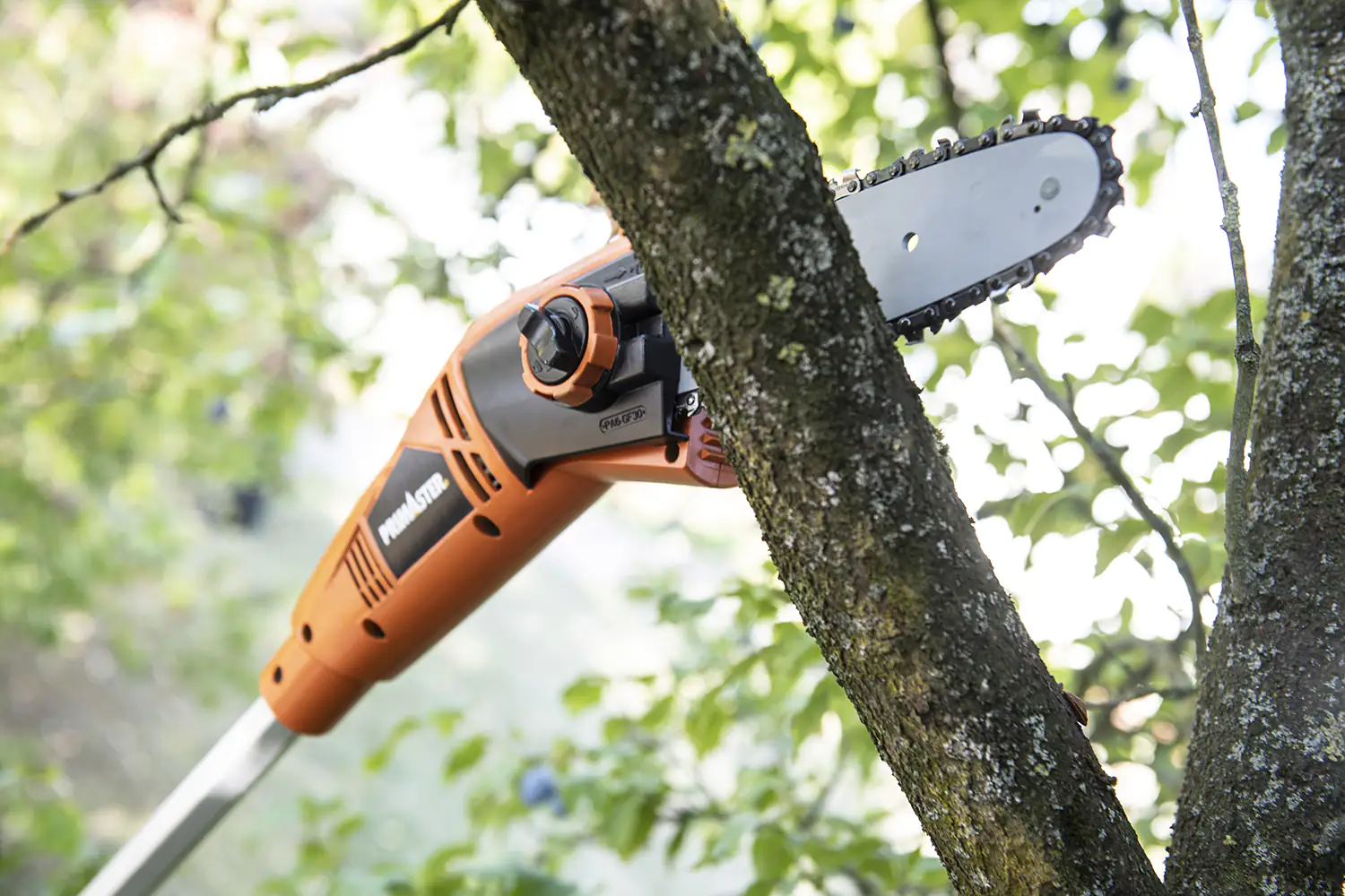 Primaster Elektro-Hochentaster PMAS 750 20,3 cm Schwertlänge