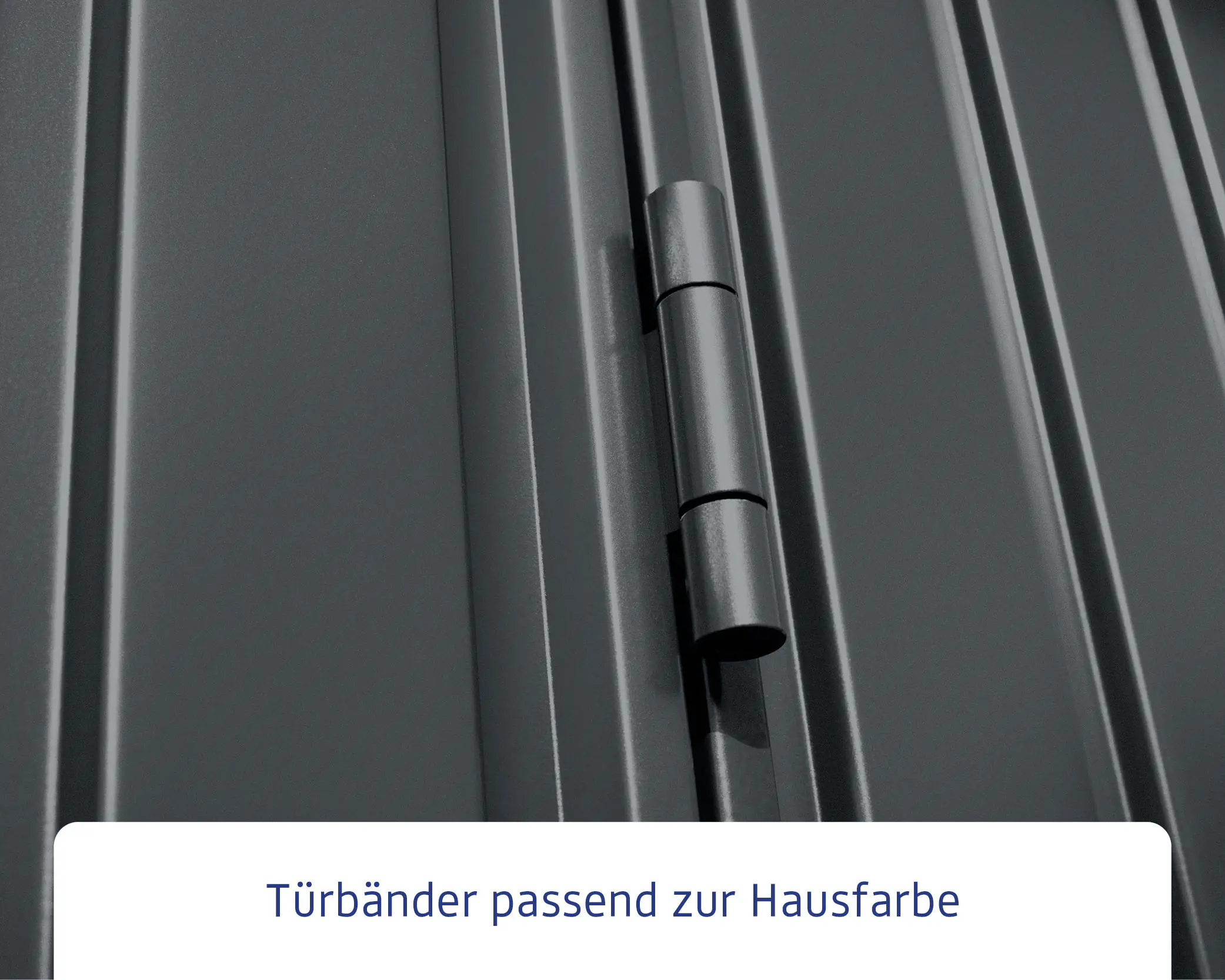 EcoStar Gerätehaus Trend-P Typ 1 anthrazitgrau 247,9 x 153 x 228,6 cm