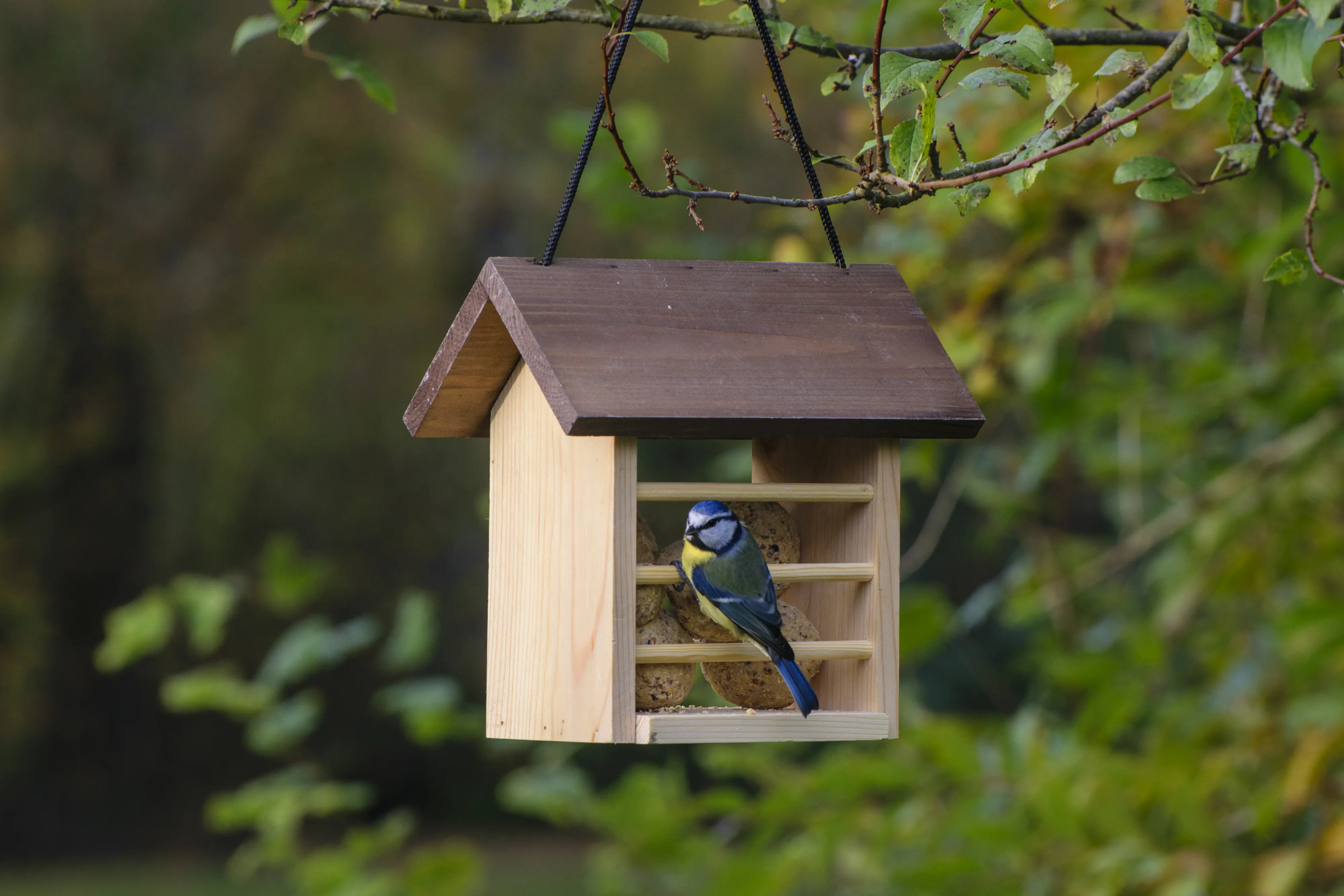 Dobar Vogelfutterhaus für Meisenknödel 22 x 14 x 21 cm braun