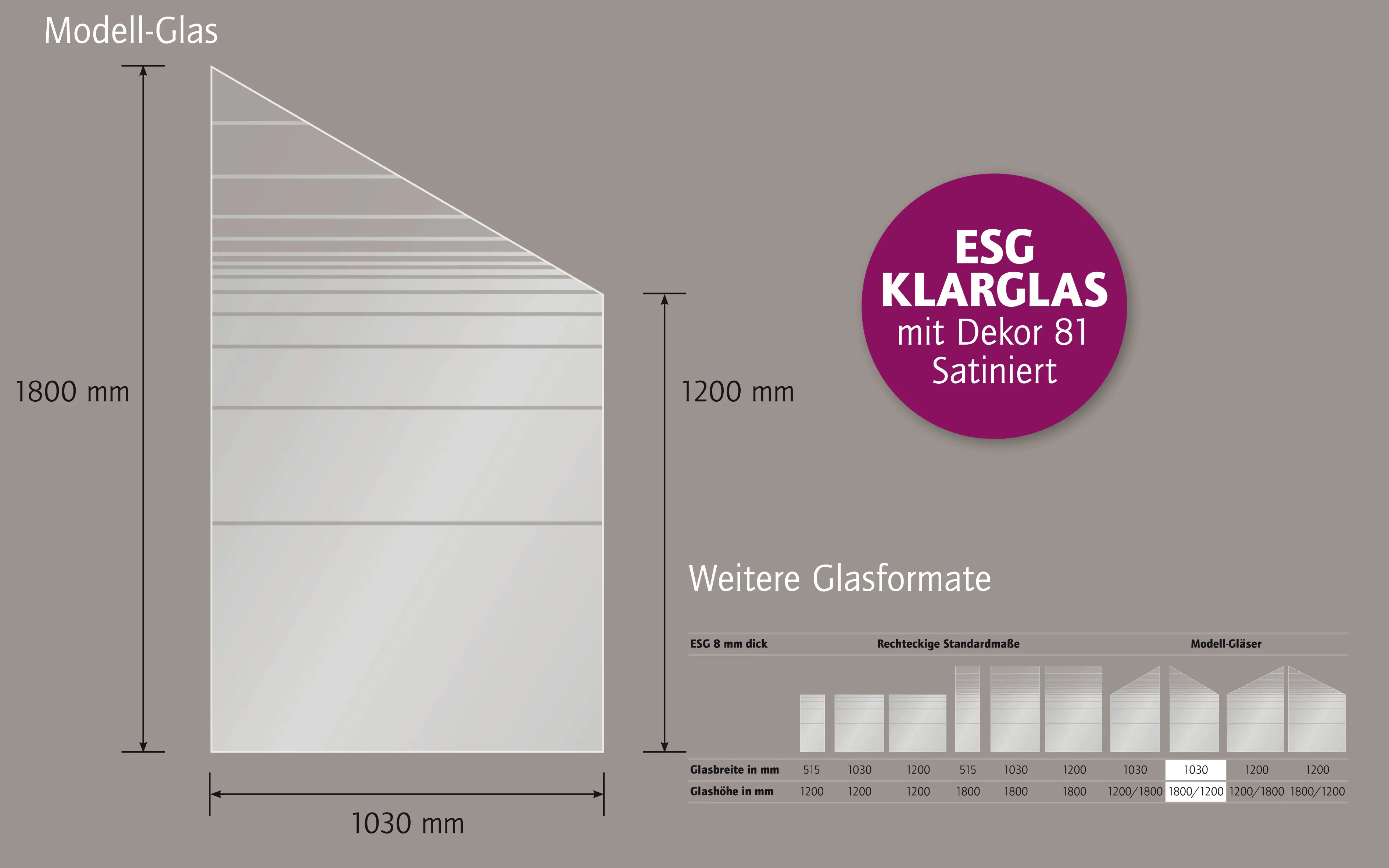 Ambiente Glaszaun Dekor 81 schräg 103 x 180/120 cm gehärtetes 8 mm Glas