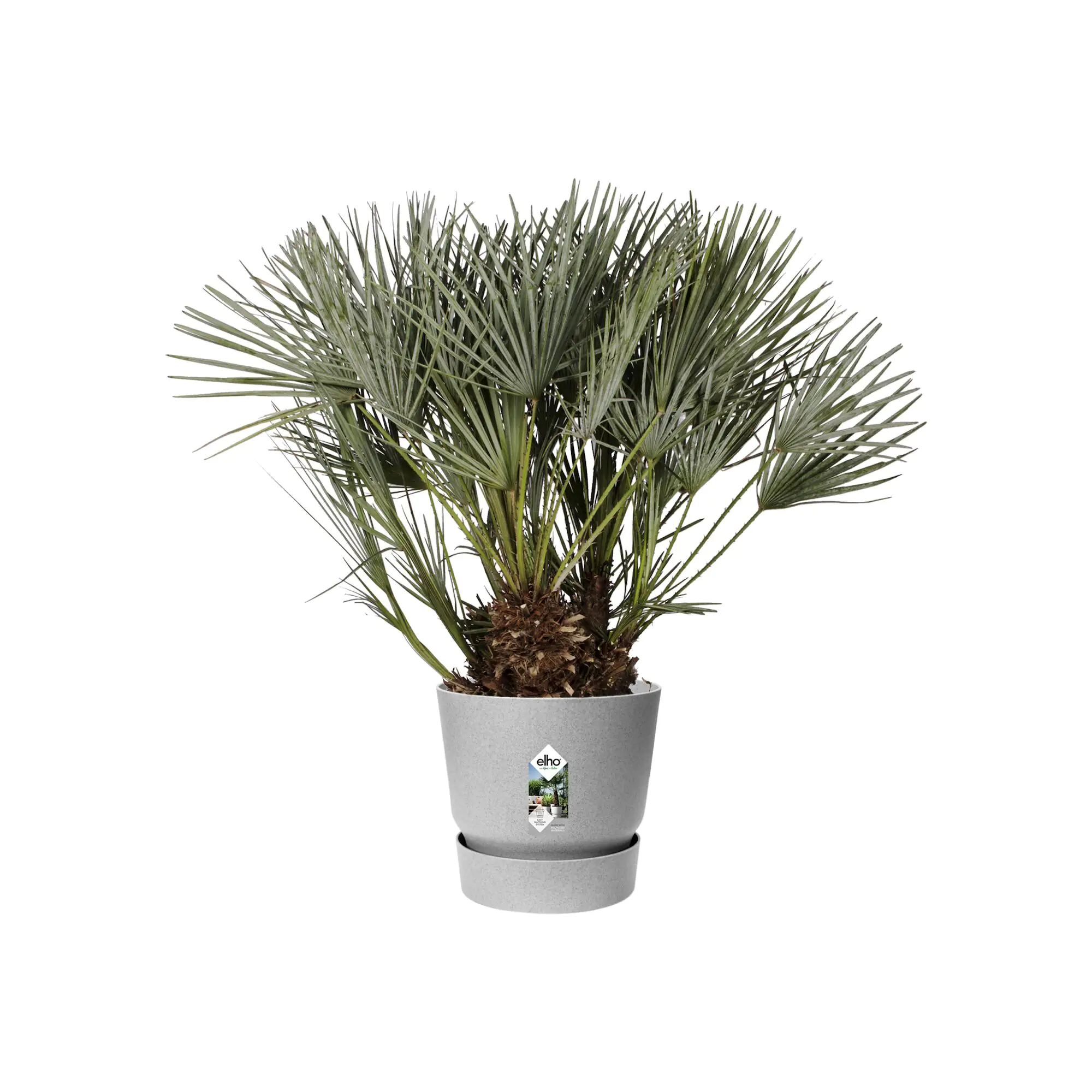 Elho Pflanztopf Greenville beton Ø 40 cm
