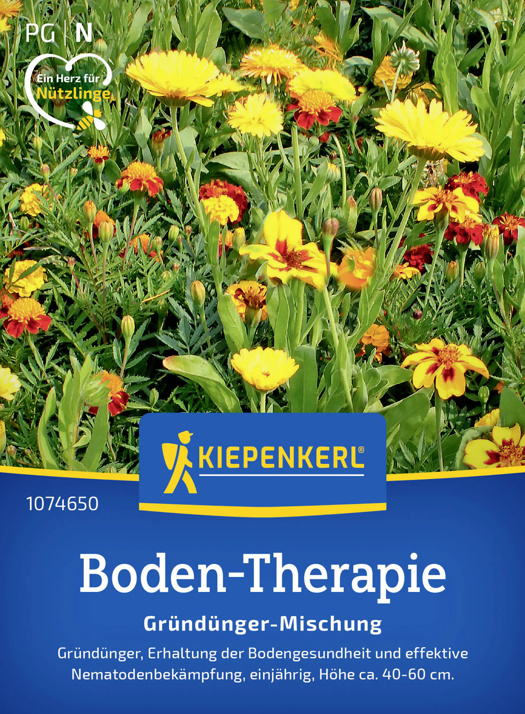 Kiepenkerl Saatgut Boden-Therapie Mischung für ca. 5-7 m²