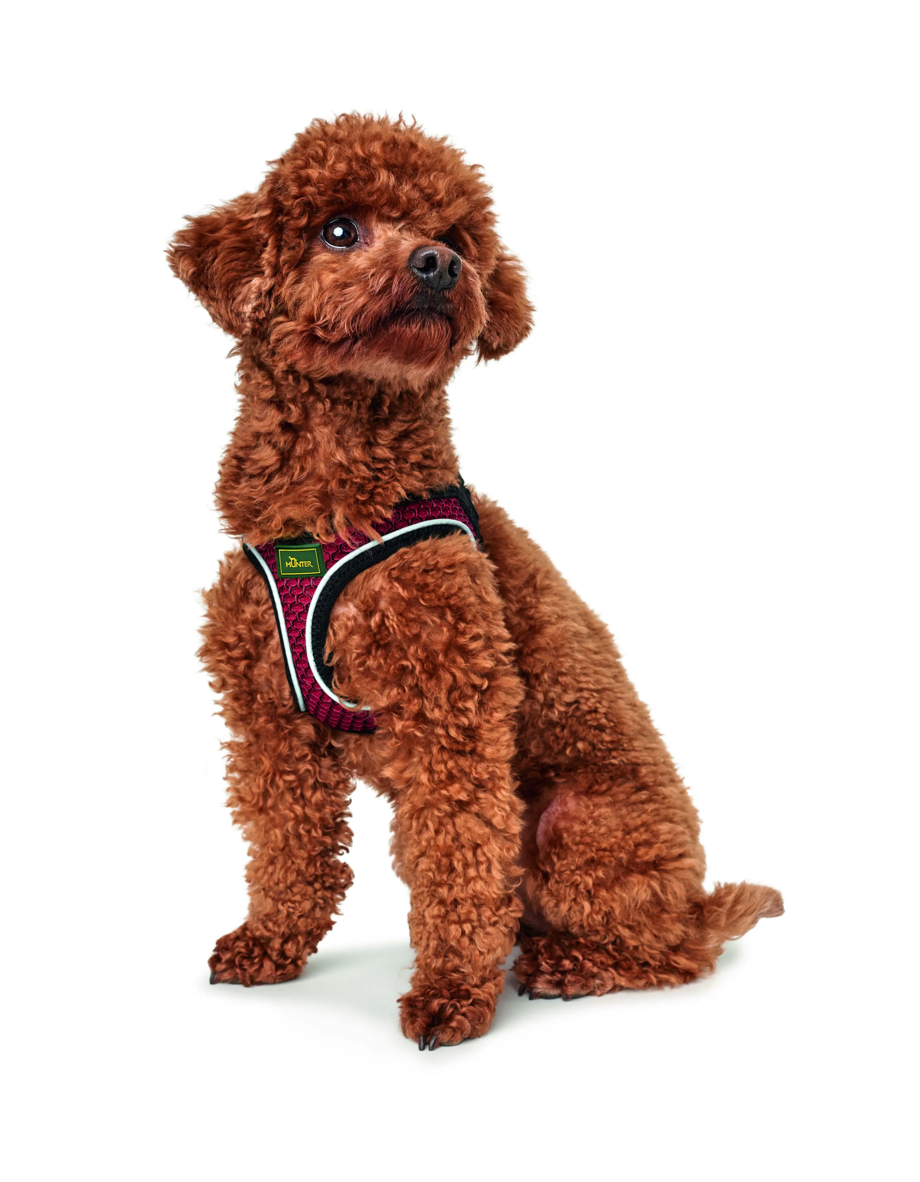 Hunter Hundegeschirr Hilo Comfort S-M rot