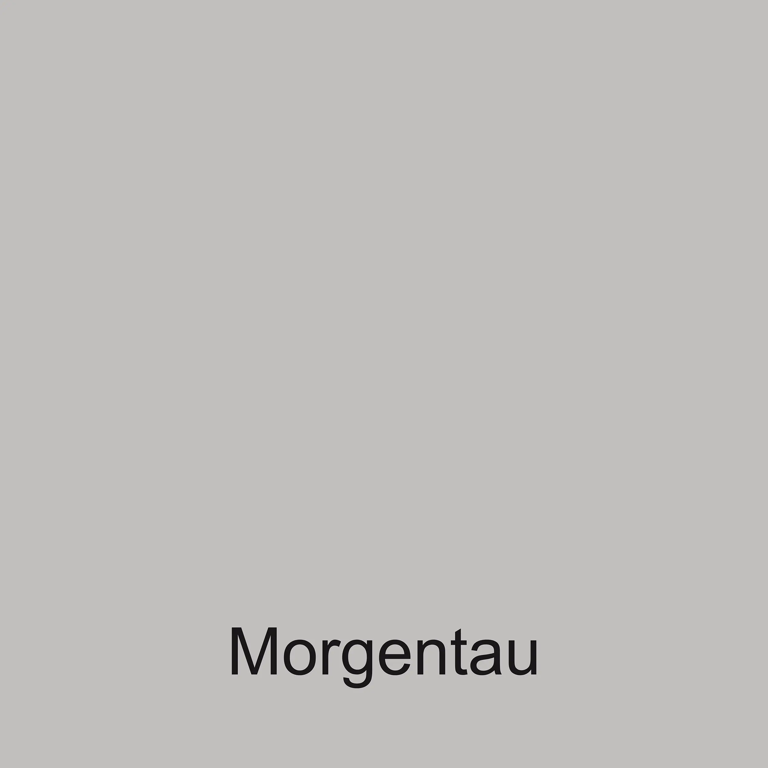 Wohncolor Wandfarbe morgentau 10 L