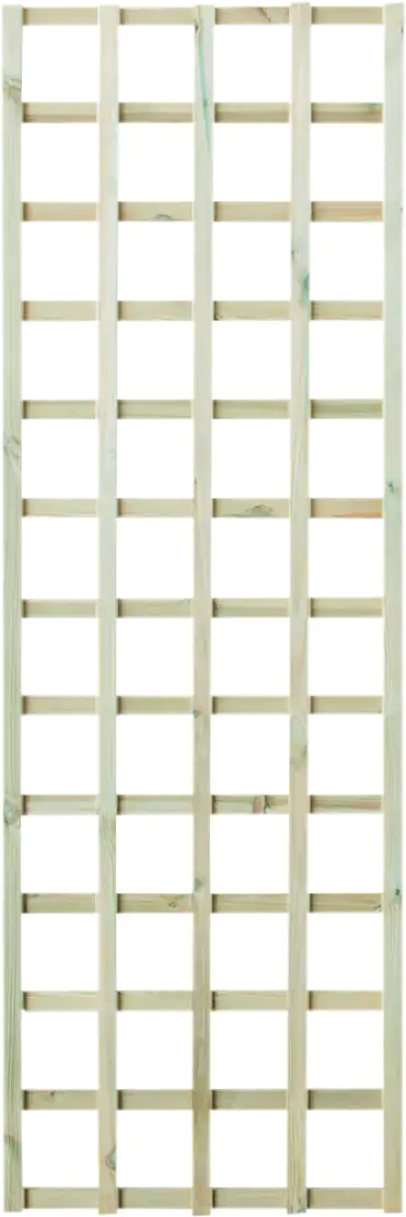 Rankgitter 60 x 180 cm kesseldruckimprägniert