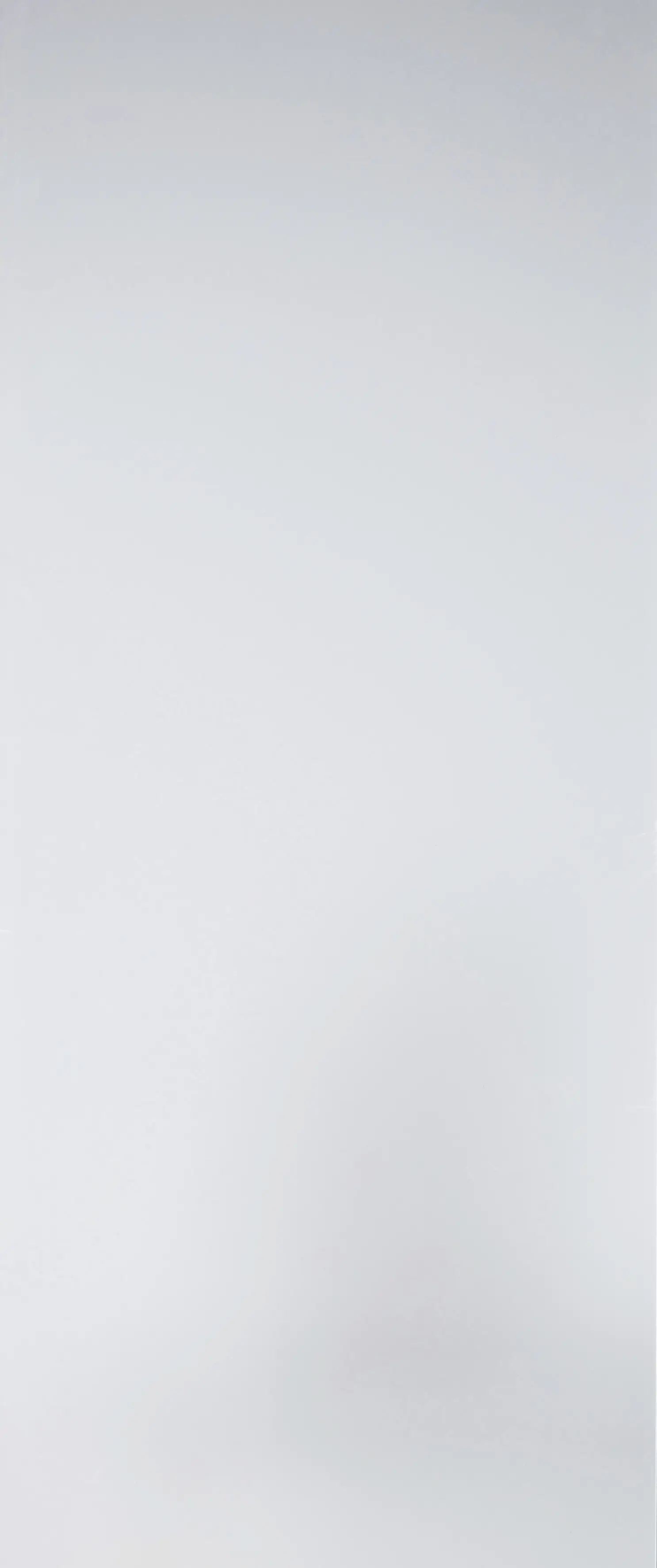 Ambiente Türverglasung Holztür mit Lichtausschnitt Satinato 142 x 66 cm klarglas