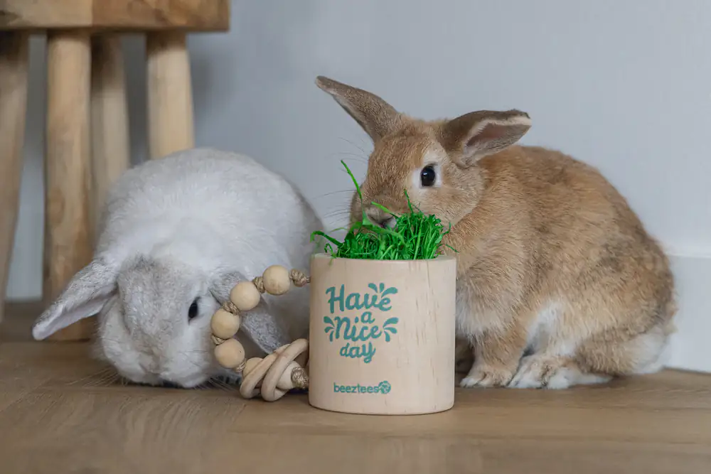 Beeztees Nager Spielzeug Have A Nice Day 