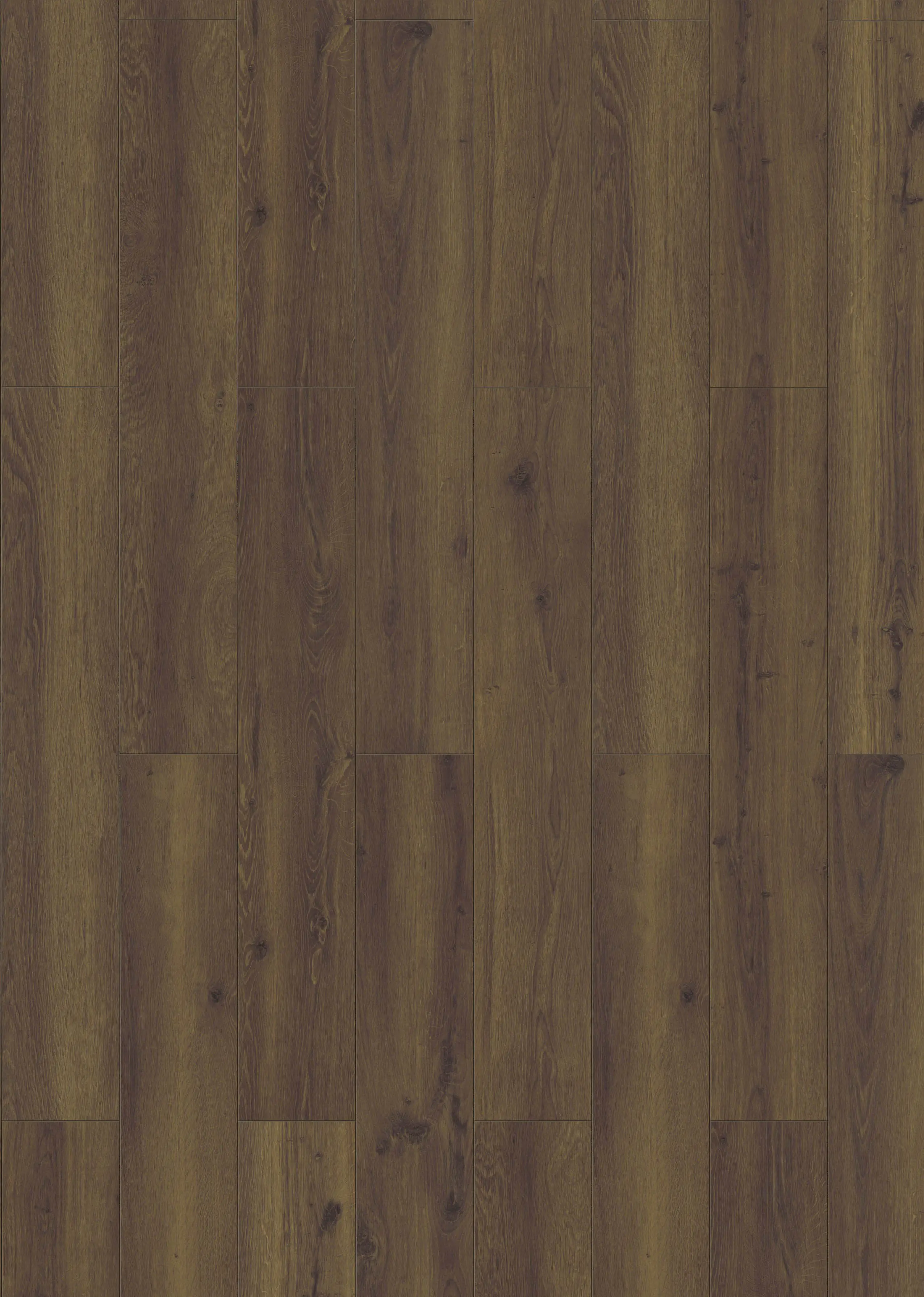 Classen Laminat Edition 7 Eiche dunkel braun