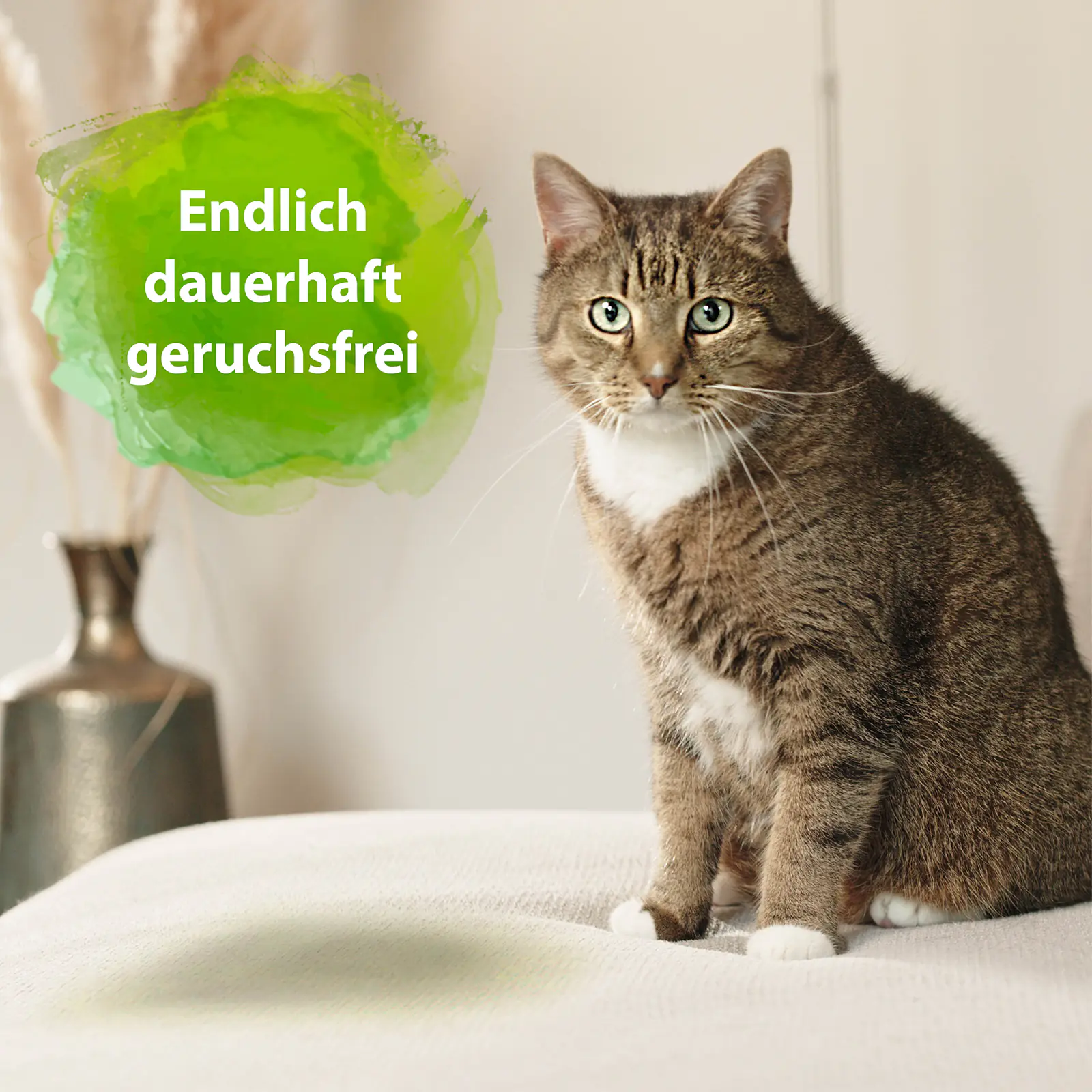 Bactador Katzentoiletten Geruchsentferner 500 ml