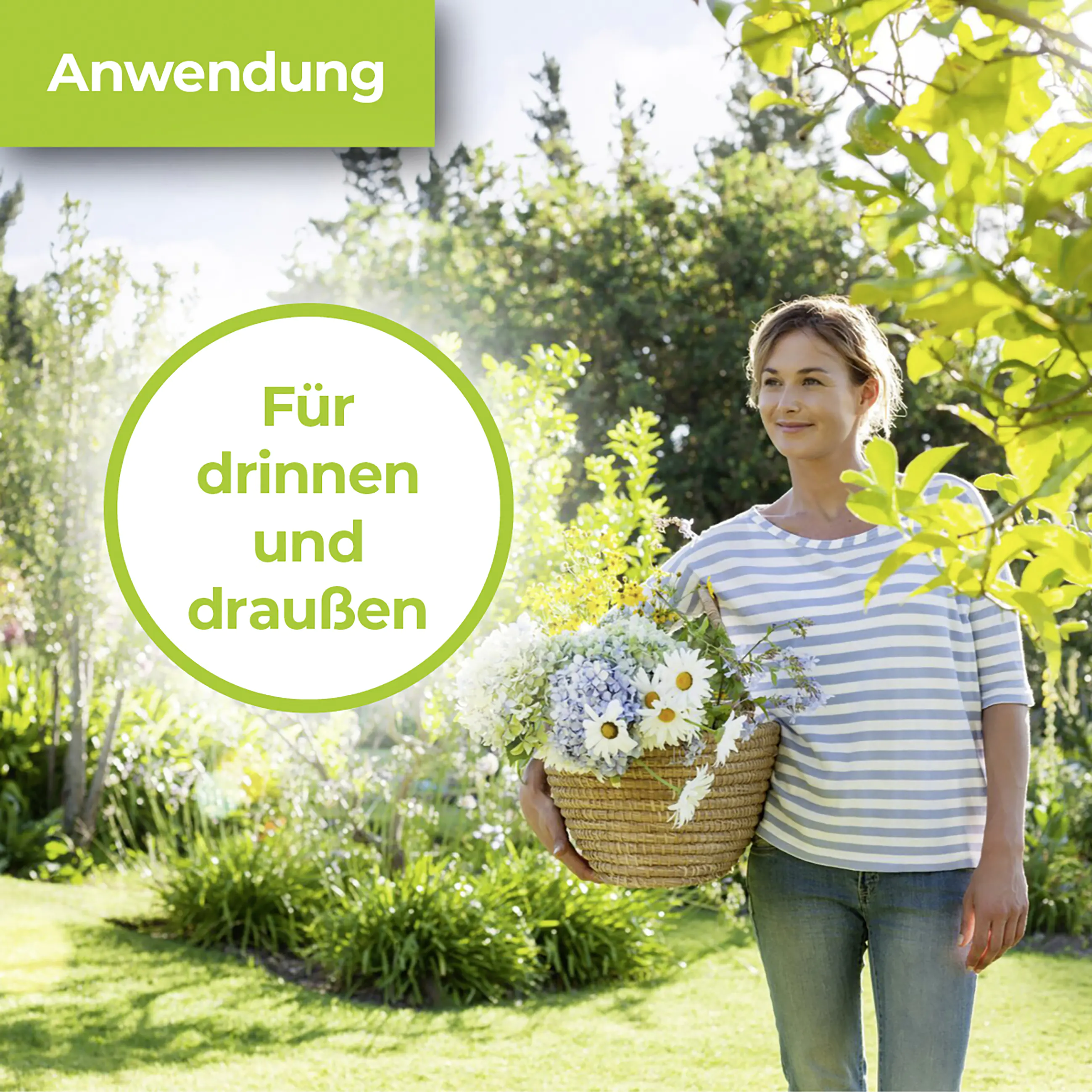 Protect Garden Lizetan Zierpflanzen- & Rosen-Spray AF 500 ml