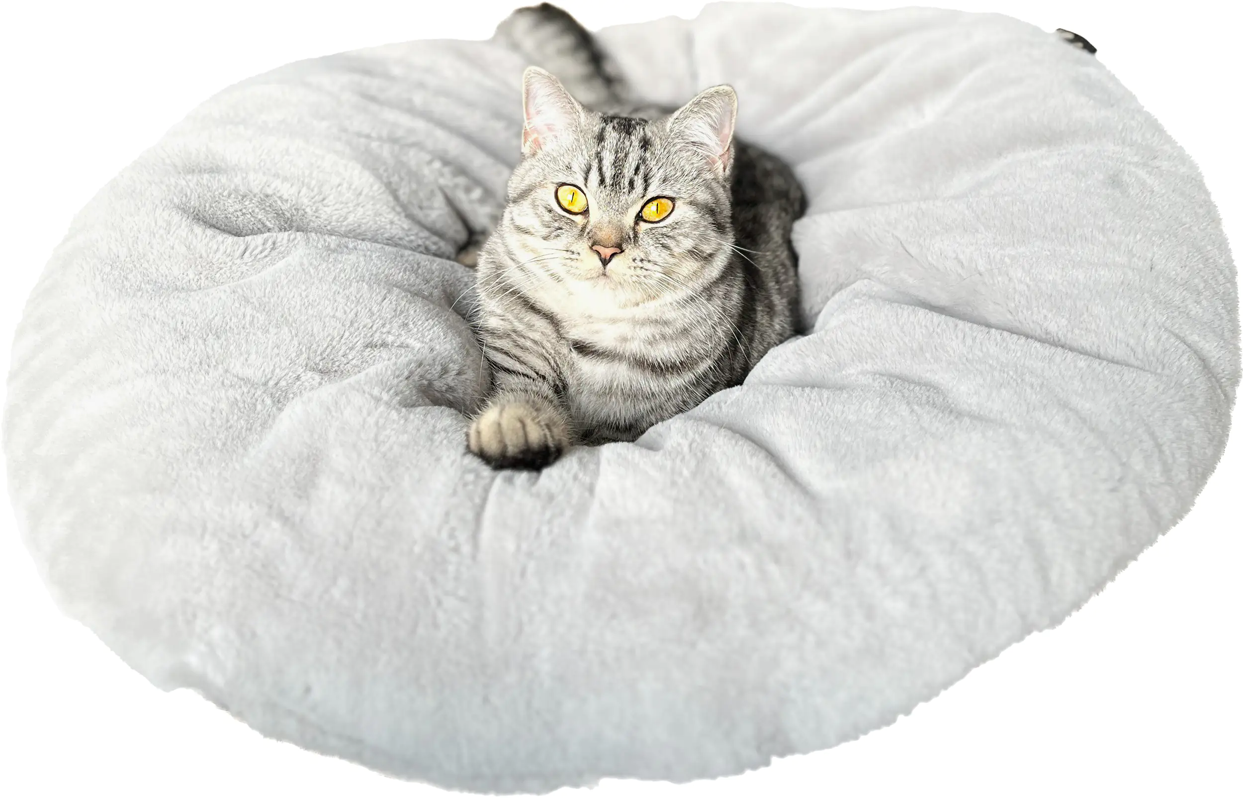 Lebon Katzenbett Bella Plüsch grau