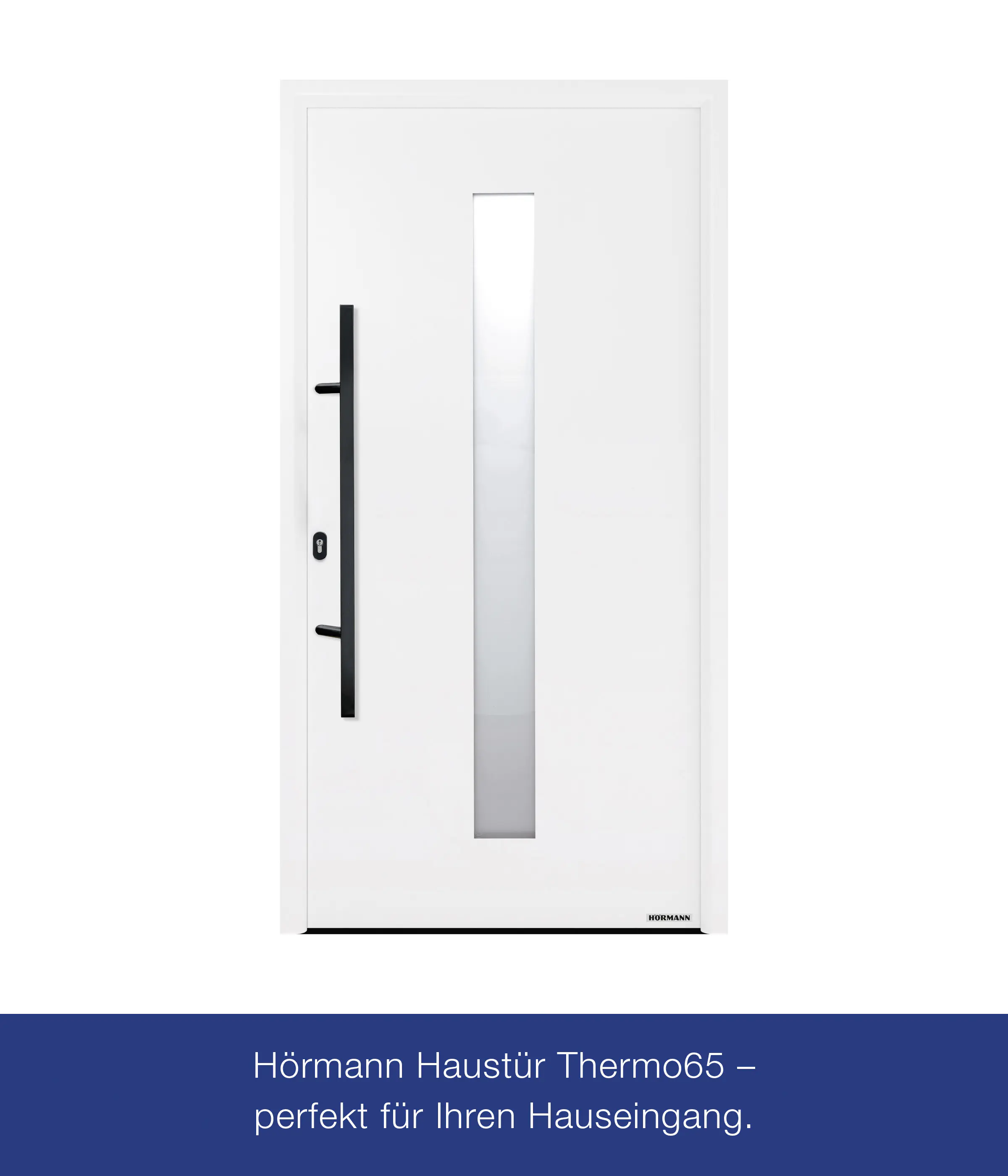Hörmann Haustür Thermo65 Motiv 610S verkehrsweiß Links 110 x 210 cm 