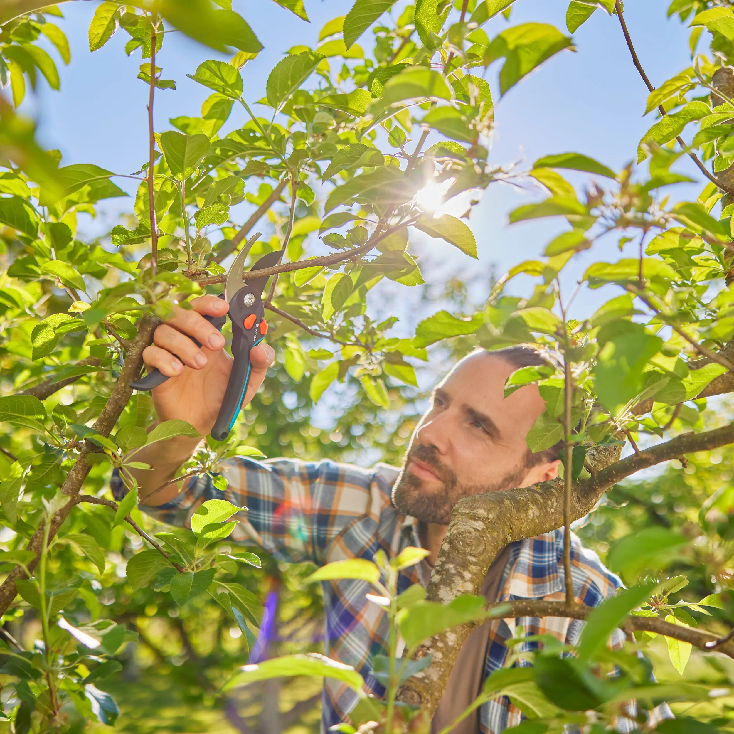 Gardena Gartenschere PremiumCut Pro Flex für grünes Holz
