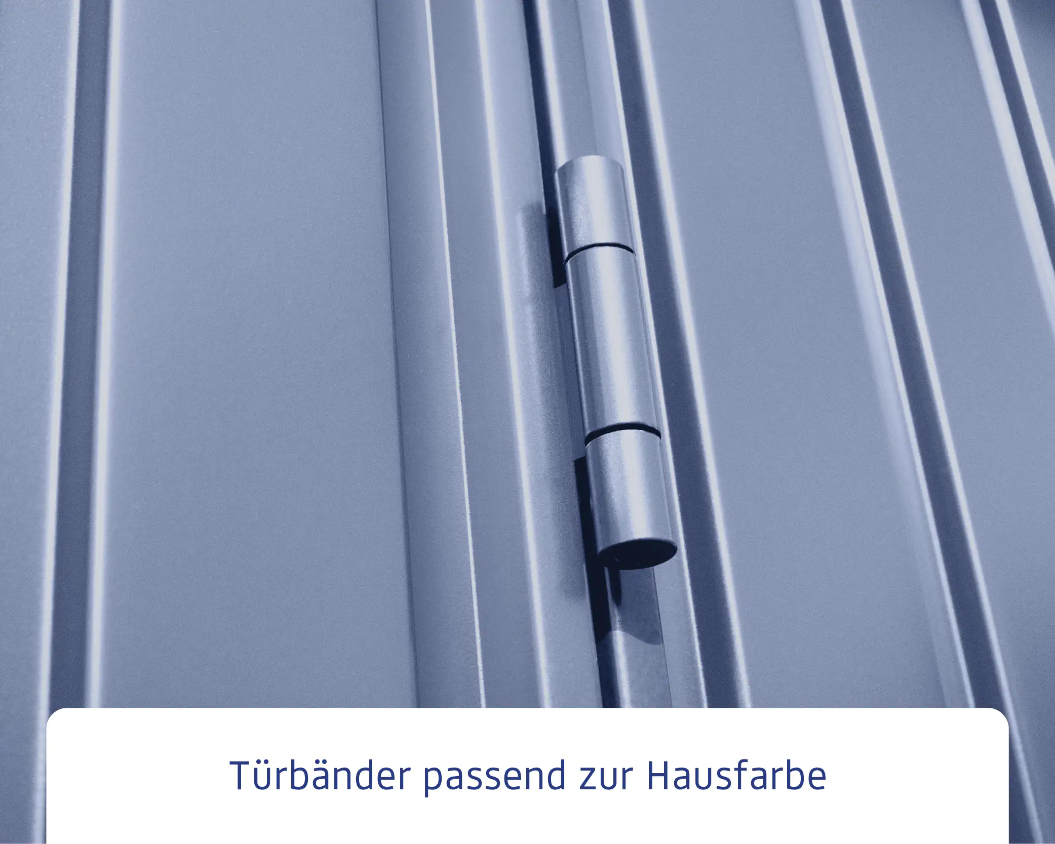 EcoStar Gerätehaus Trend-S Typ 3 323,6 x 247,7 x 219,4 cm taubenblau