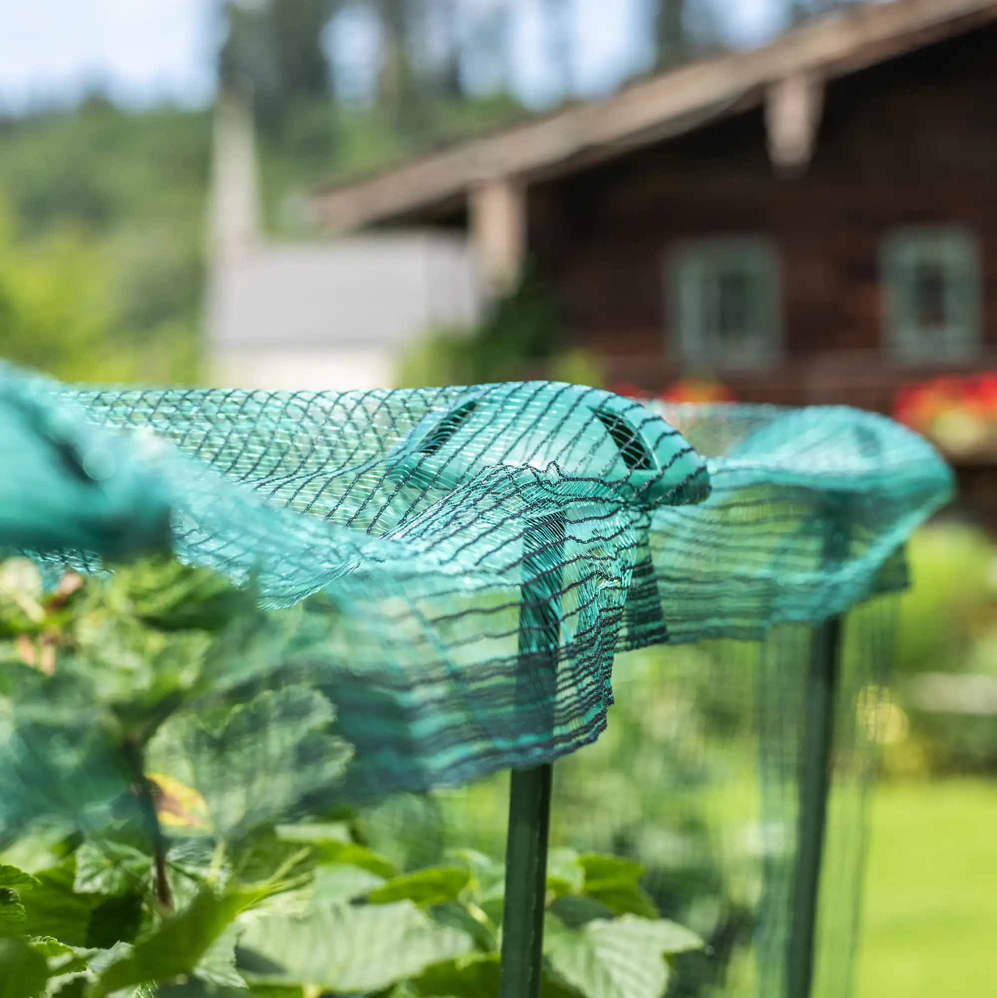 Windhager Pflanzstab-Netzhalter Ø 12 cm, 5 Stück