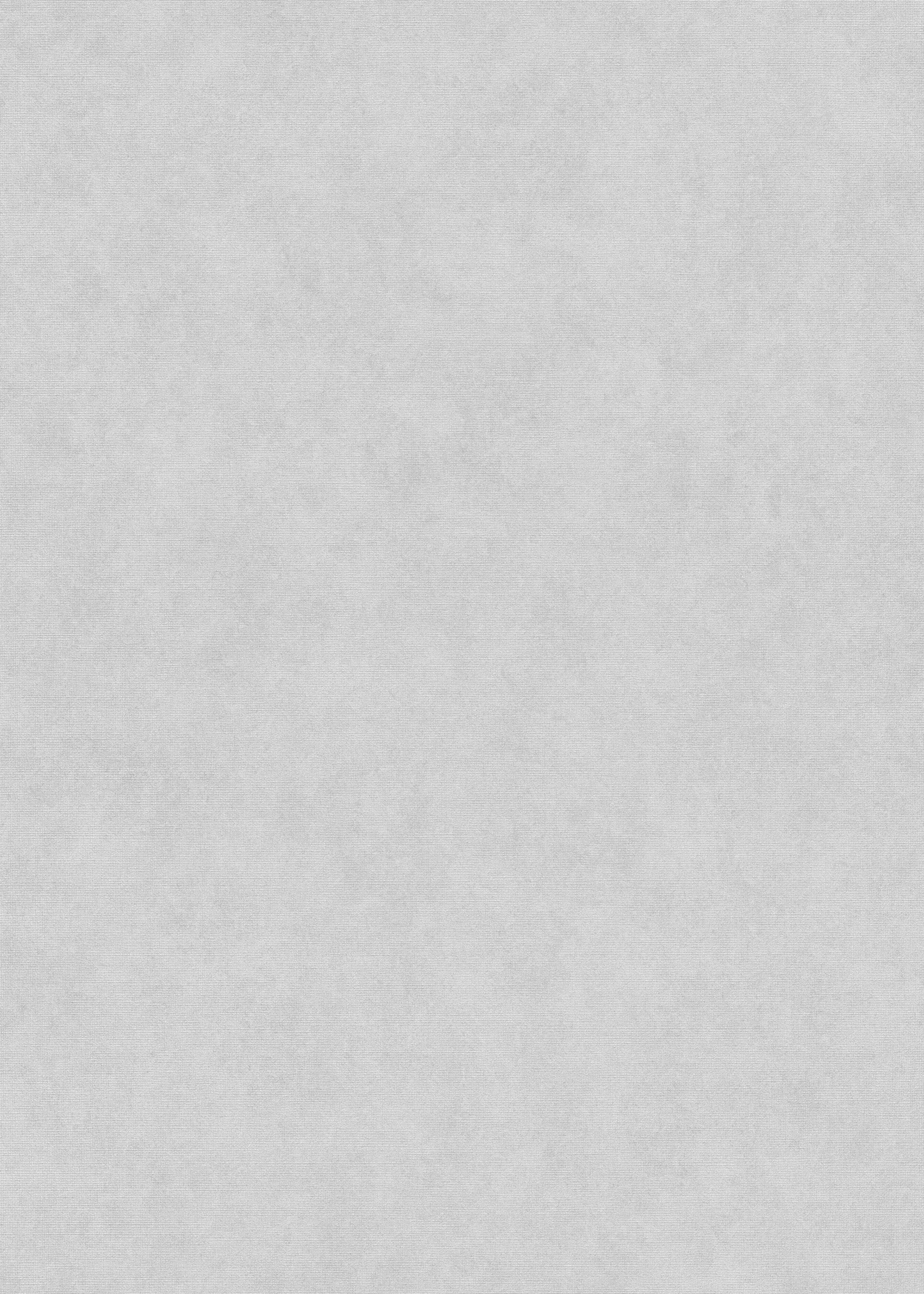 Erismann Vliestapete Uni grau 10,05 x 0,53 m