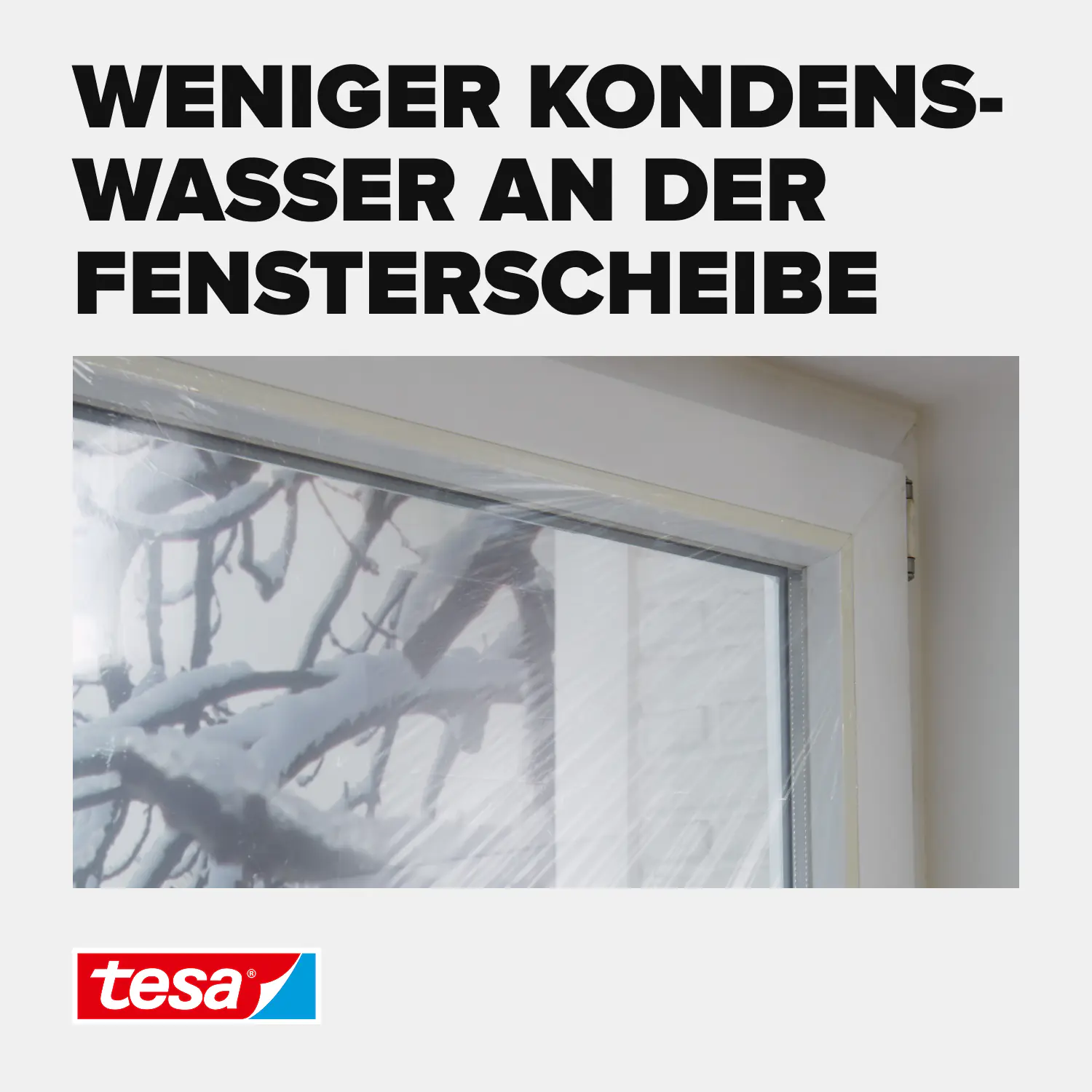 tesa Moll Fenster-Isolierfolie Thermo Cover 1,7 x 1,5 m