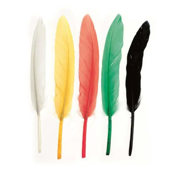 Glorex Indianerfeder mix ca.15 Stück