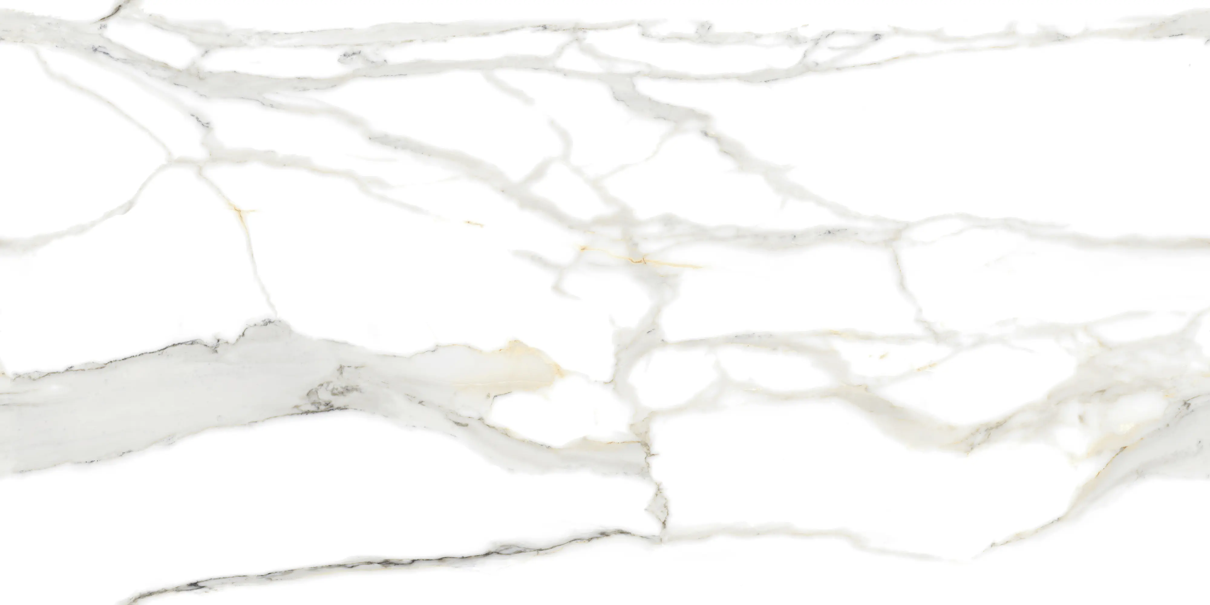Bodenfliese Feinsteinzeug  Calacatta 60 x 120 cm grau/weiß/gold